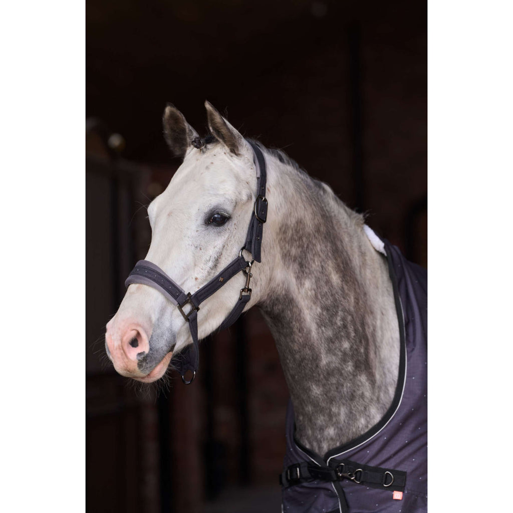 Imperial Riding Halter IRHPenny Herringbone Grey