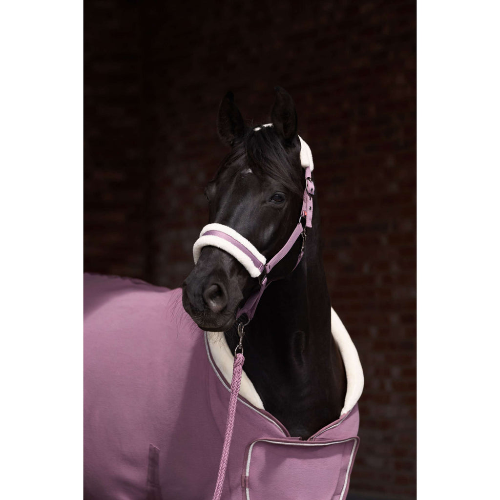 Imperial Riding Halter IRHJewel Mauve