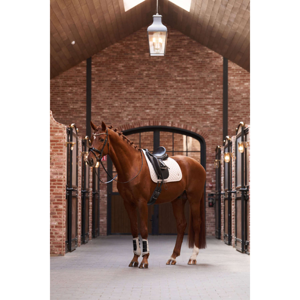 Imperial Riding Dressage Boots IRHCloud Dancer Taupe