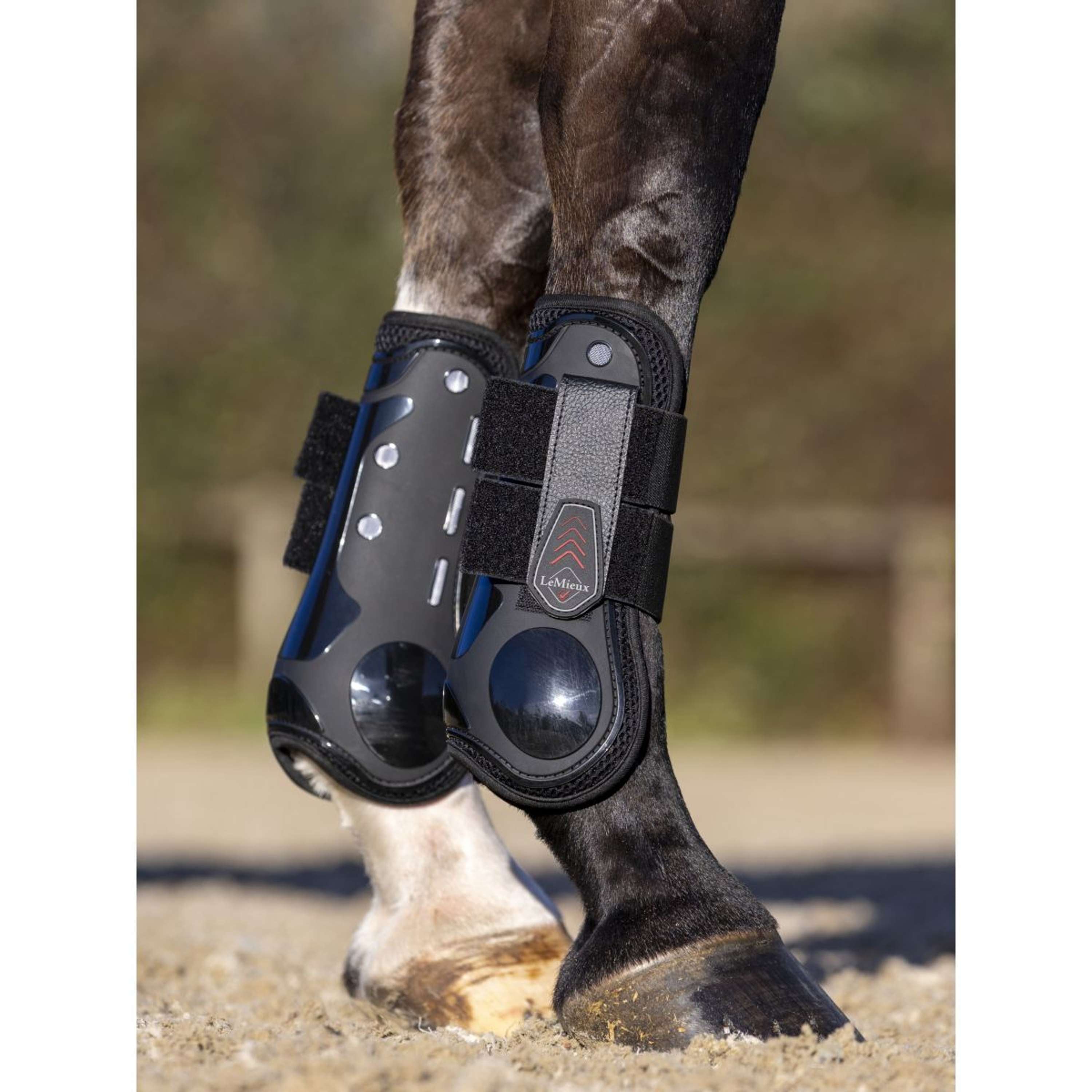 LeMieux Tendon Boots Derby ProJump Black
