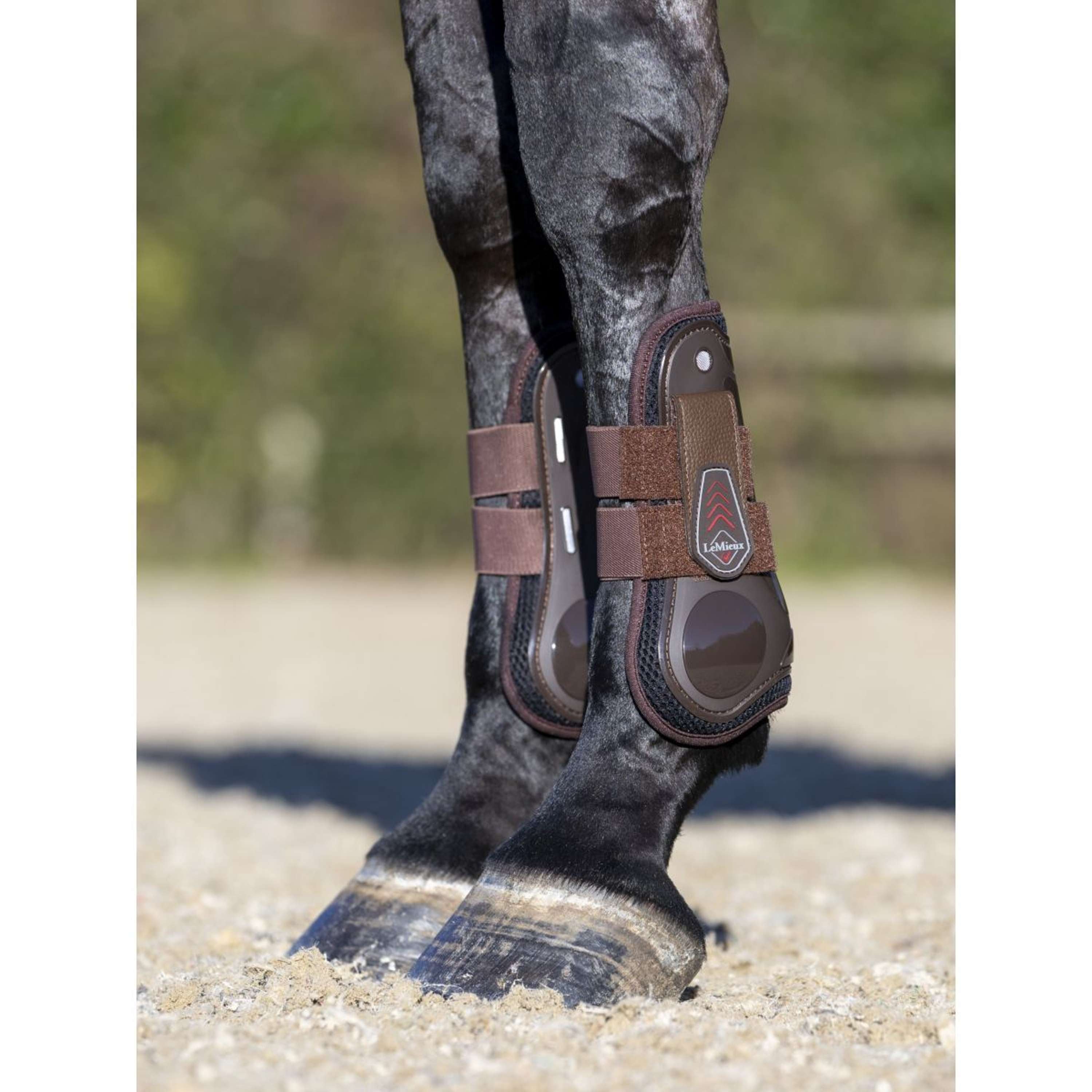 LeMieux Tendon Boots Derby ProJump Brown