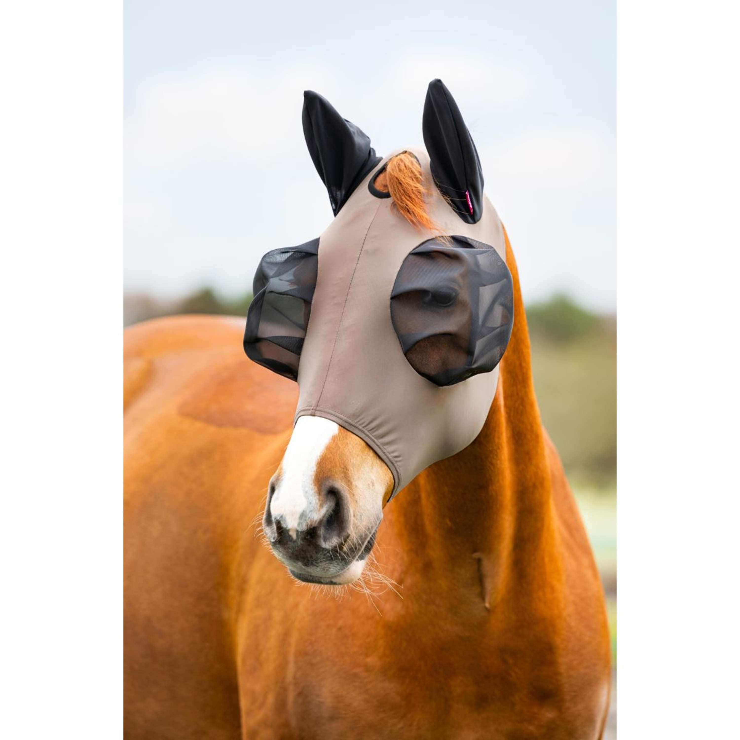 LeMieux Fly Mask Bug Relief Walnut