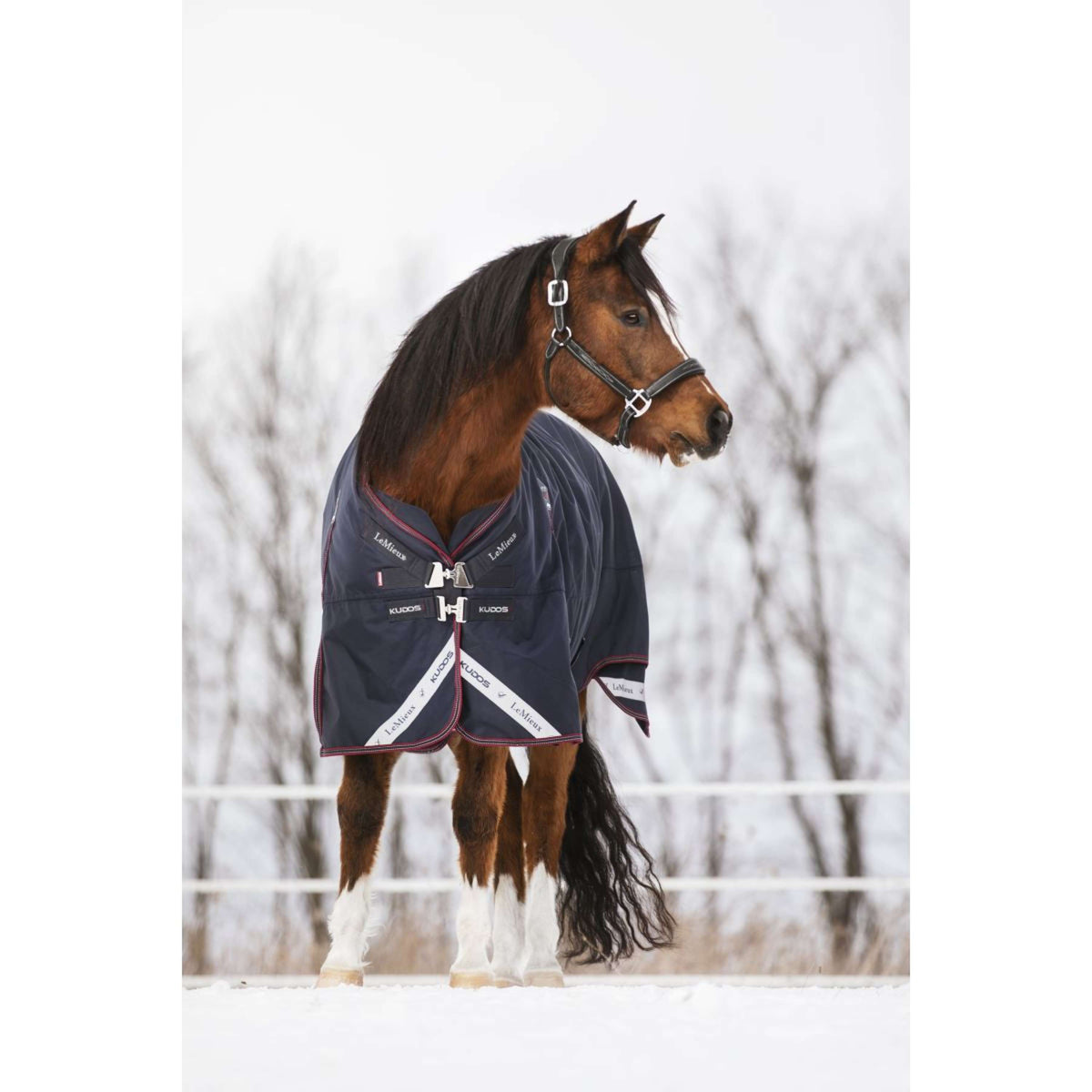 LeMieux Rug Kudos Turnout 200g Navy