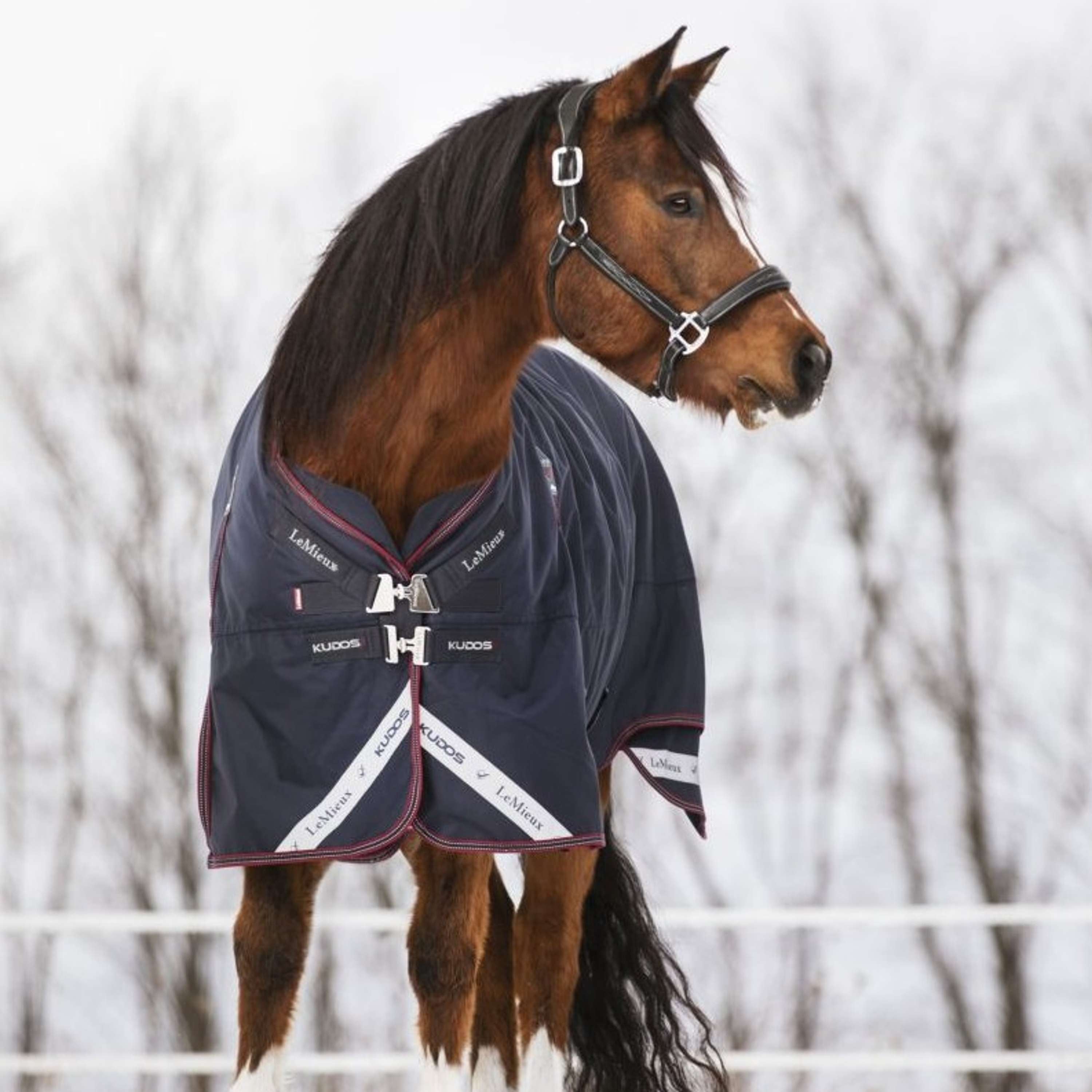 LeMieux Rug Kudos Turnout 50g Navy