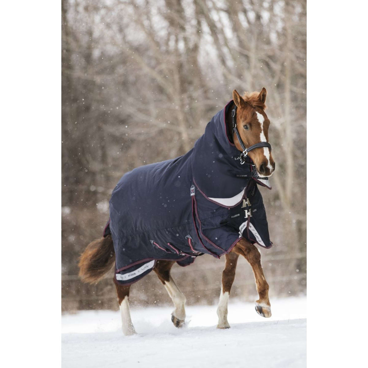 LeMieux Rug Kudos Turnout 200g Navy