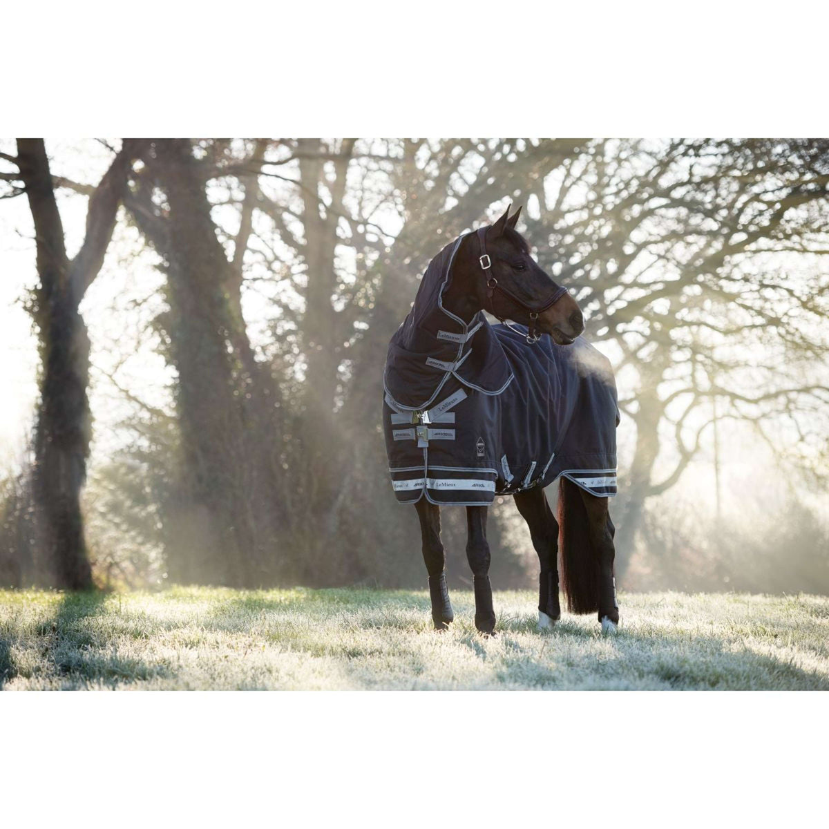 LeMieux Rug Arika Storm-Tek Turnout 350g Navy