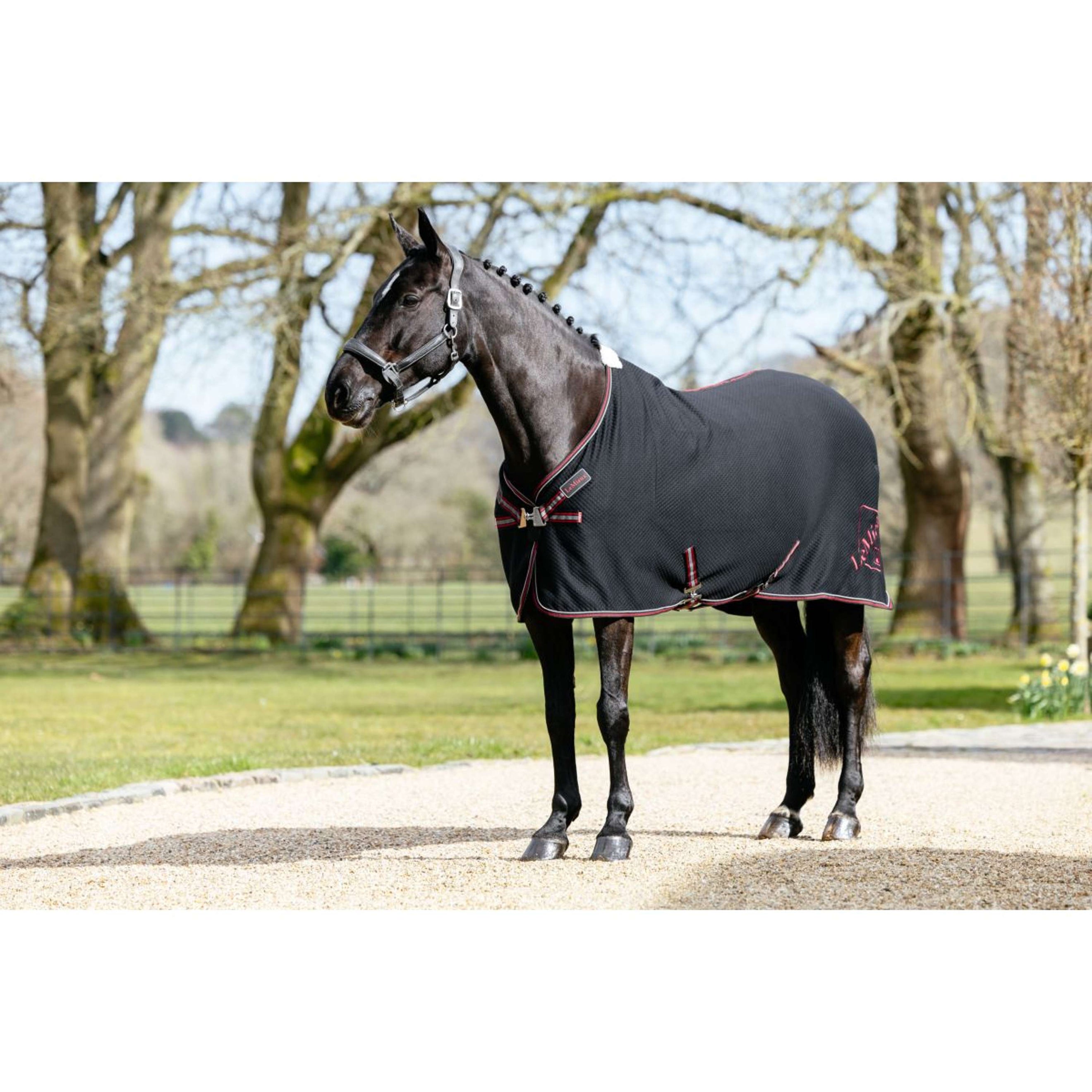 LeMieux Cooler Kudos Bamboo Black LeMieux Cooler Kudos Bamboo Black