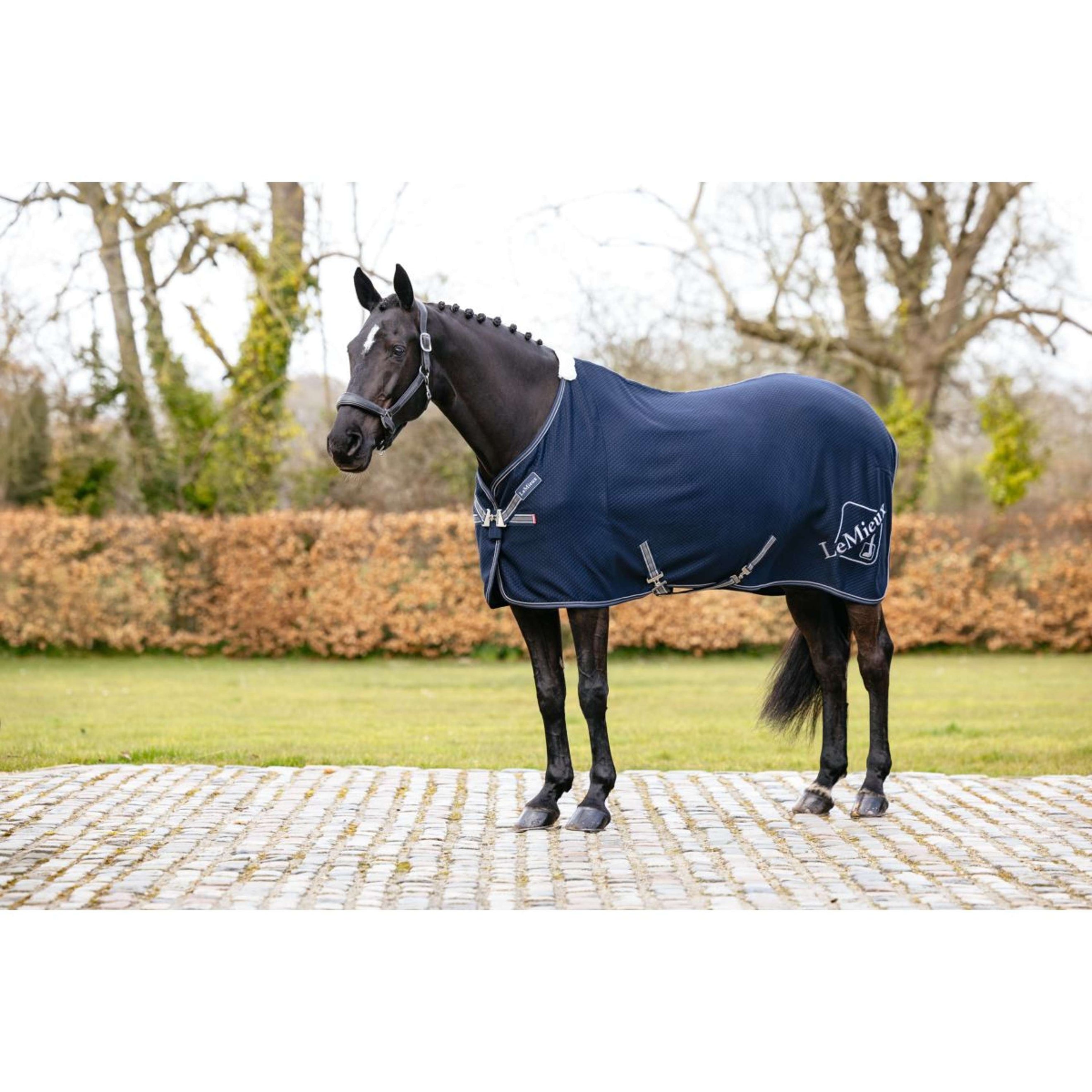 LeMieux Cooler Kudos Bamboo Navy LeMieux Cooler Kudos Bamboo Navy