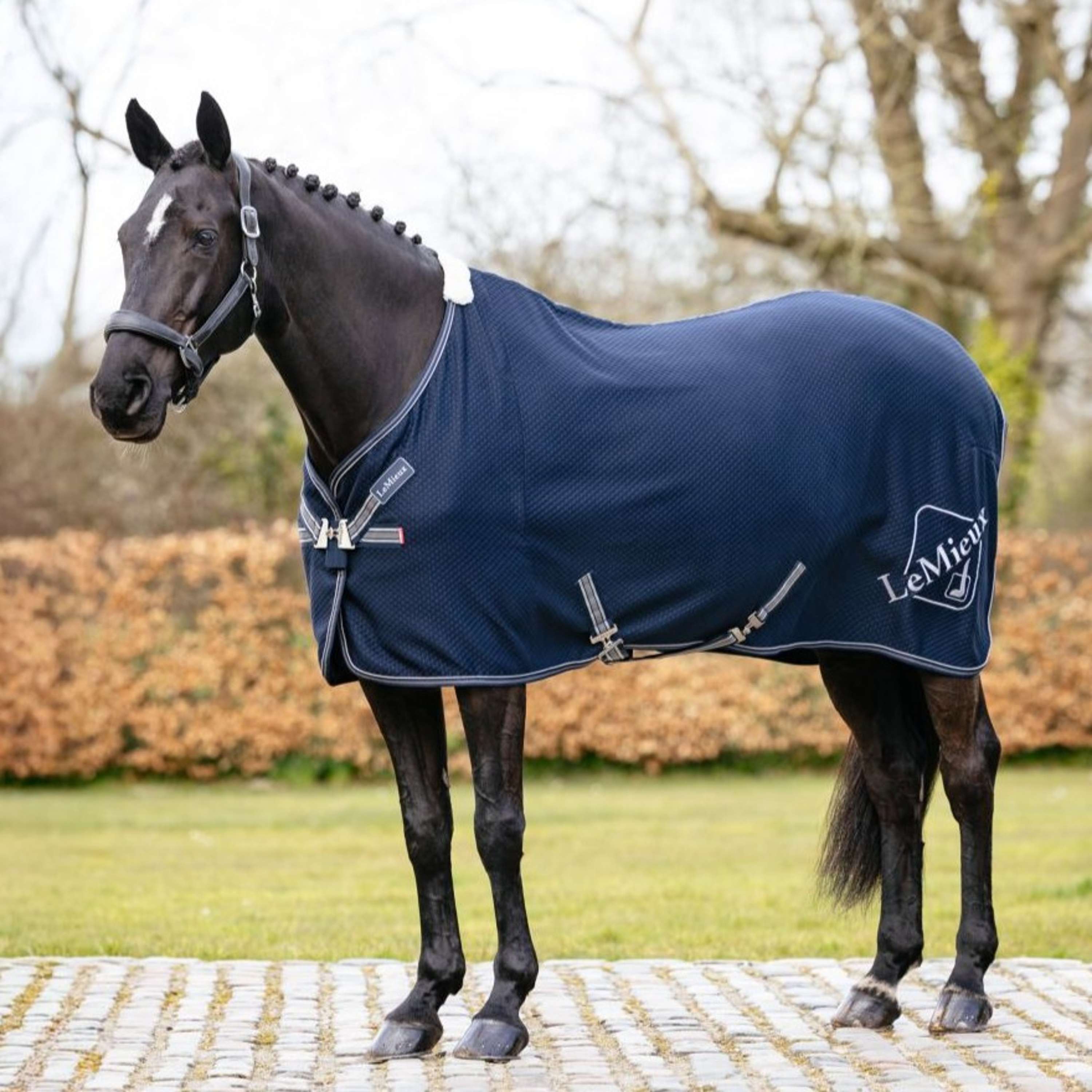 LeMieux Cooler Kudos Bamboo Navy