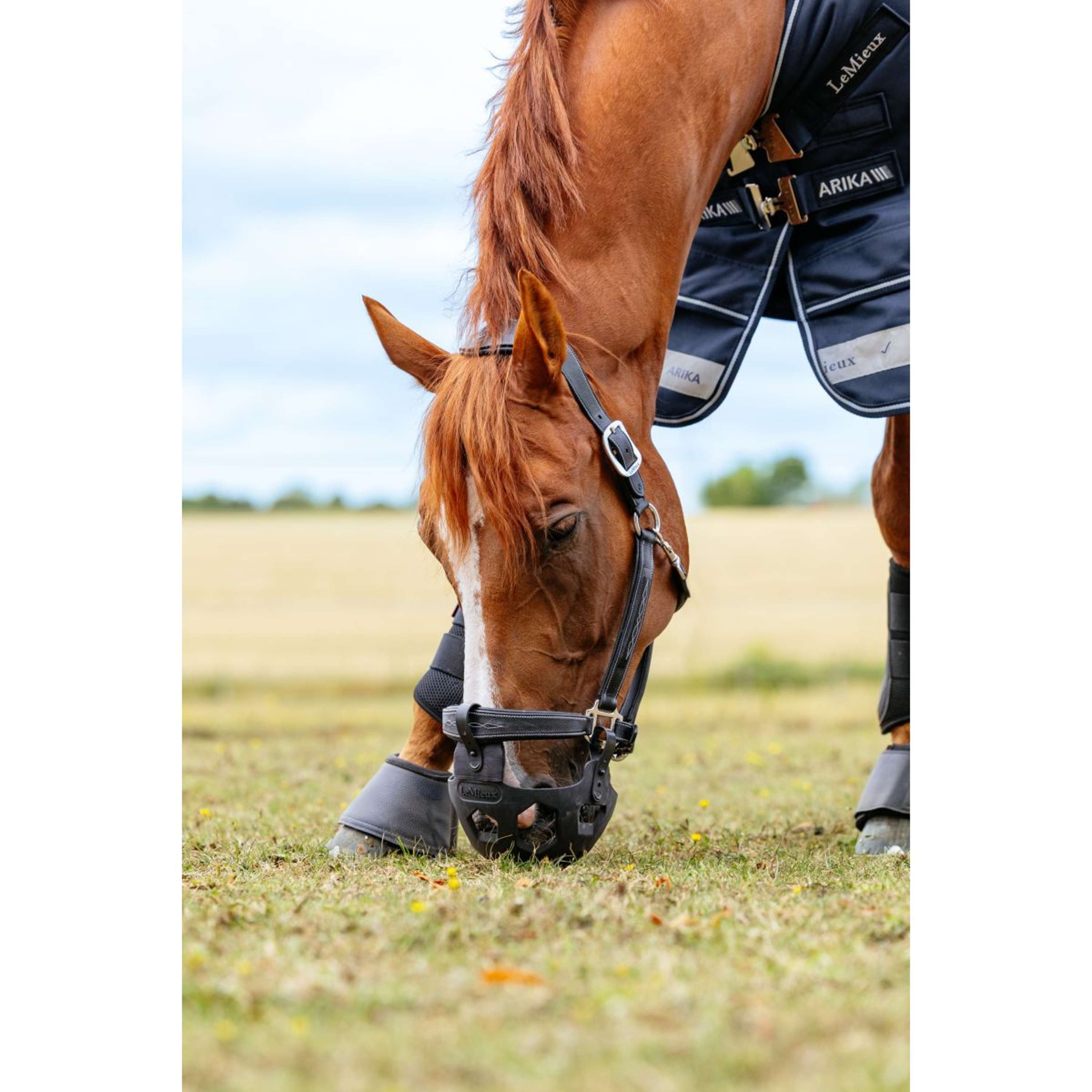 LeMieux Grazing Mask Noma Black