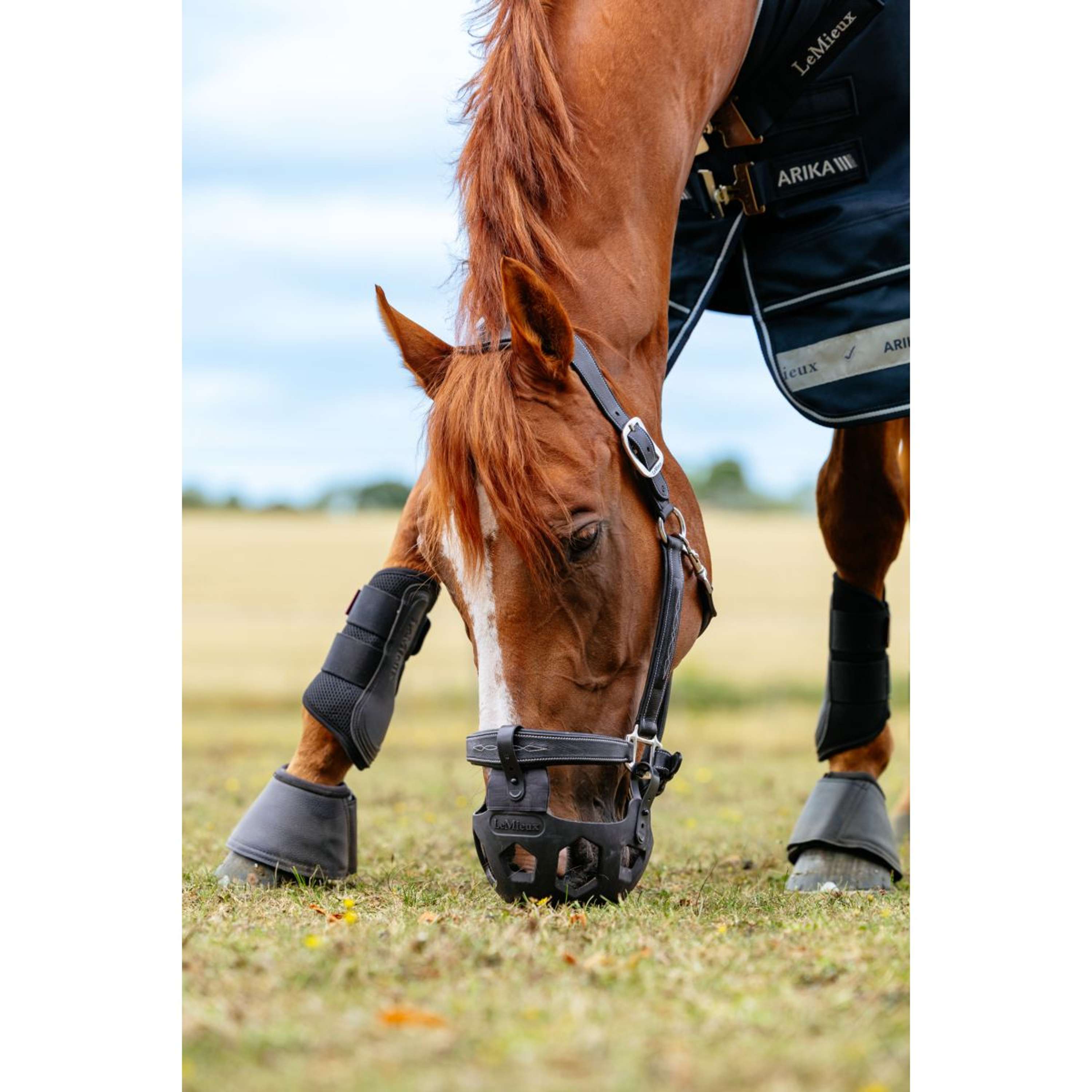 LeMieux Grazing Mask Noma Black