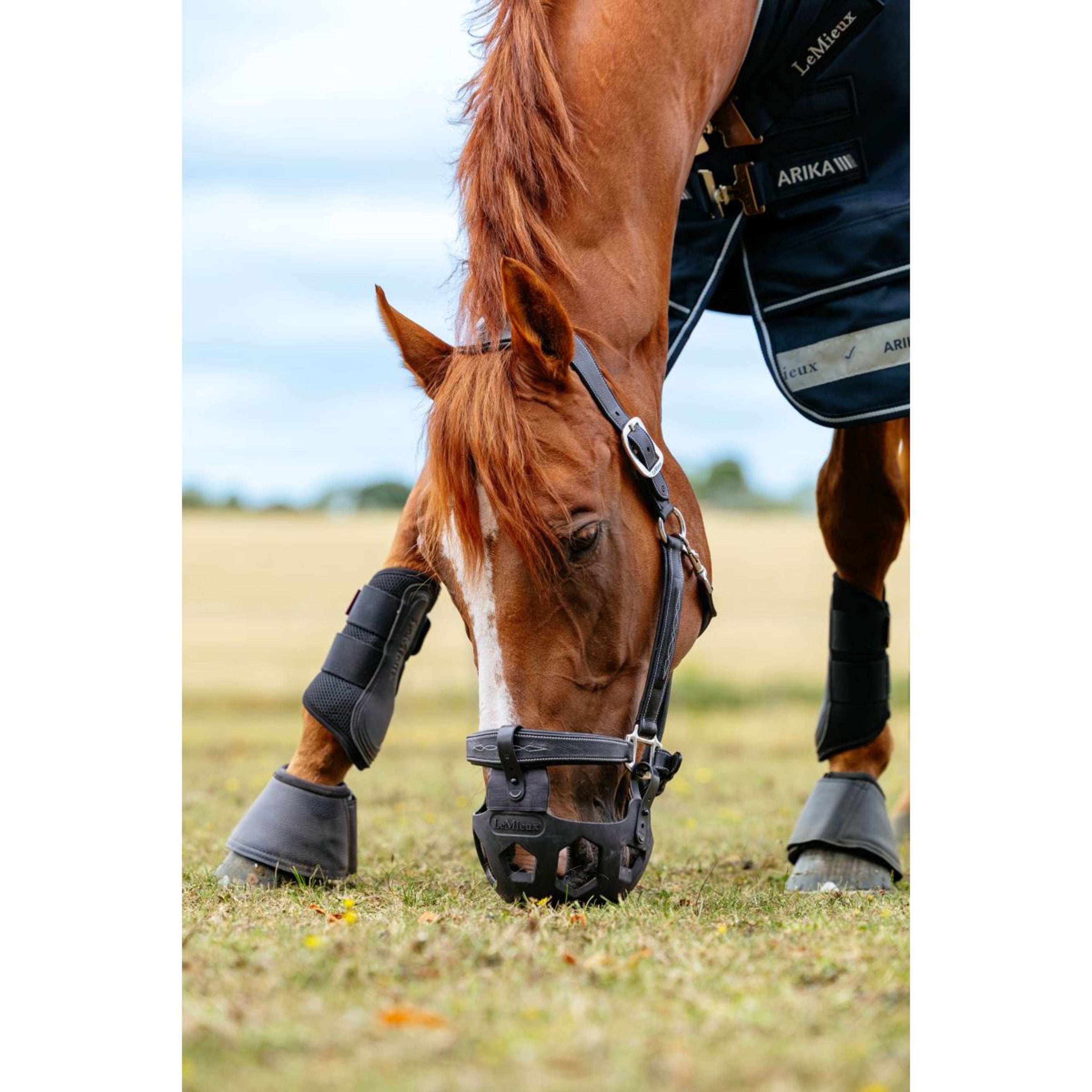 LeMieux Grazing Mask Noma Black LeMieux Grazing Mask Noma Black