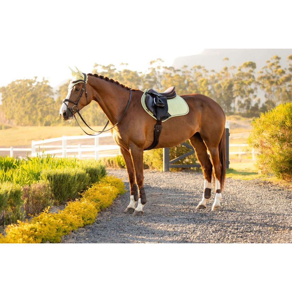 LeMieux Saddlepad Suede Close Contact Square Jumping Macaron
