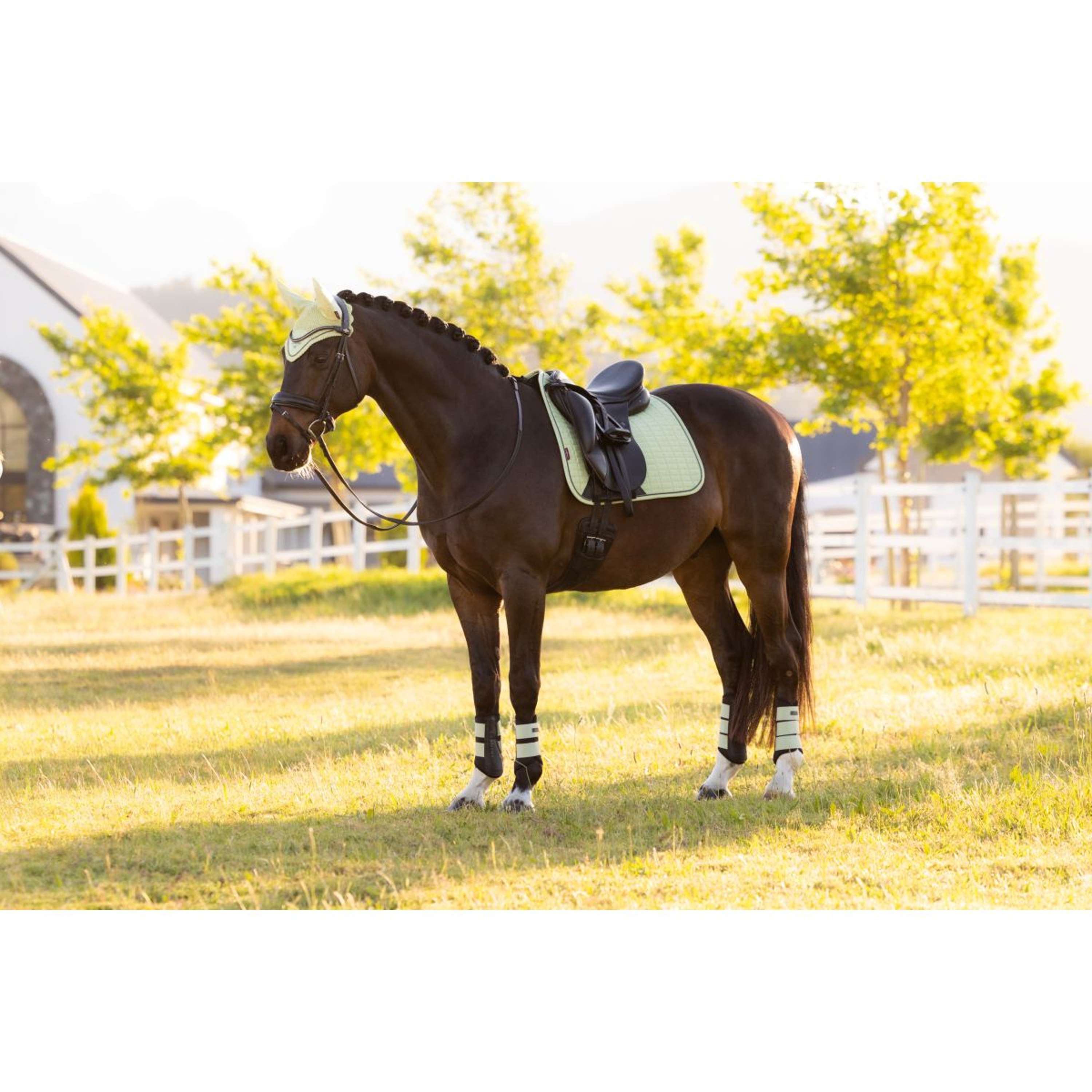 LeMieux Saddlepad Suede Square Dressage Macaron