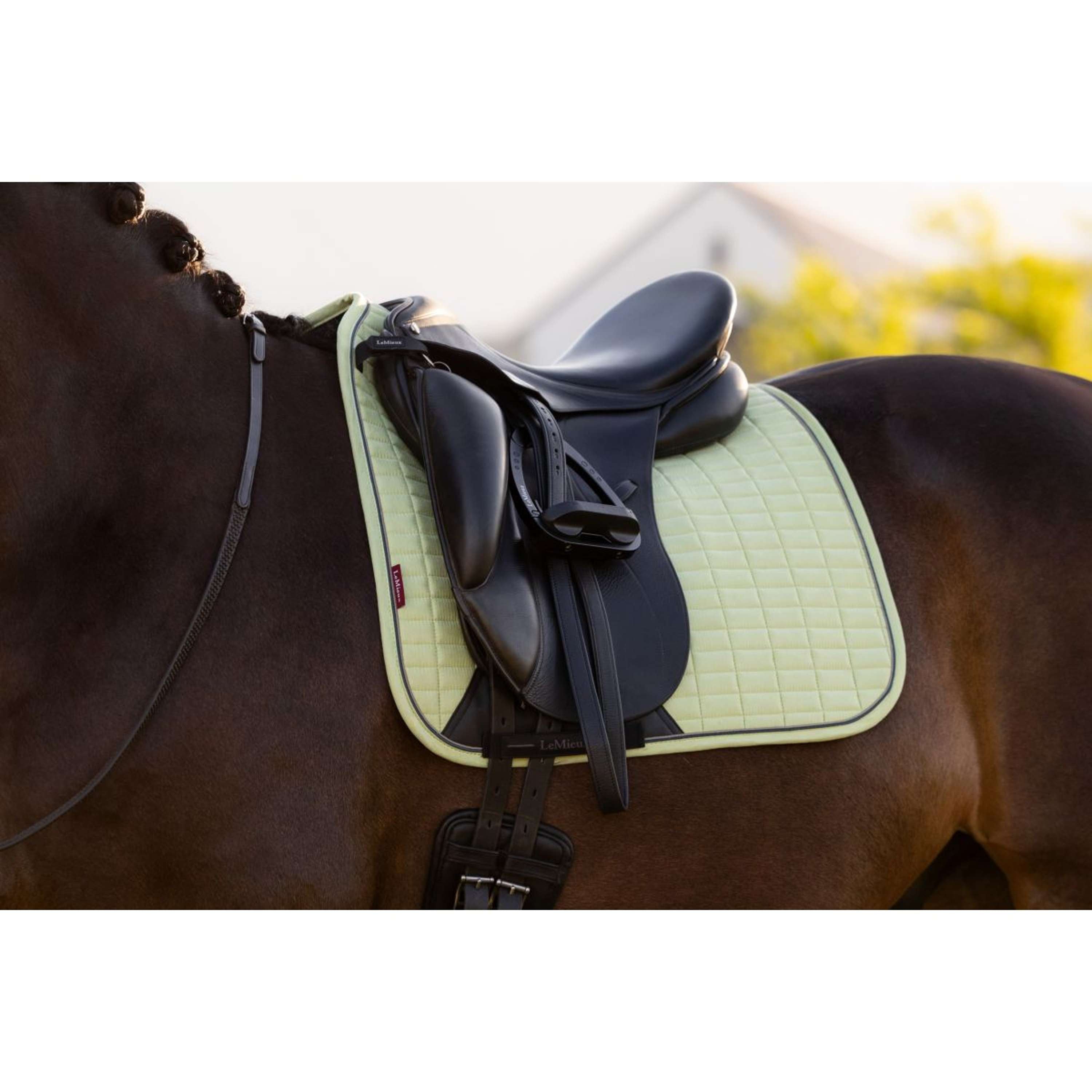 LeMieux Saddlepad Suede Square Dressage Macaron