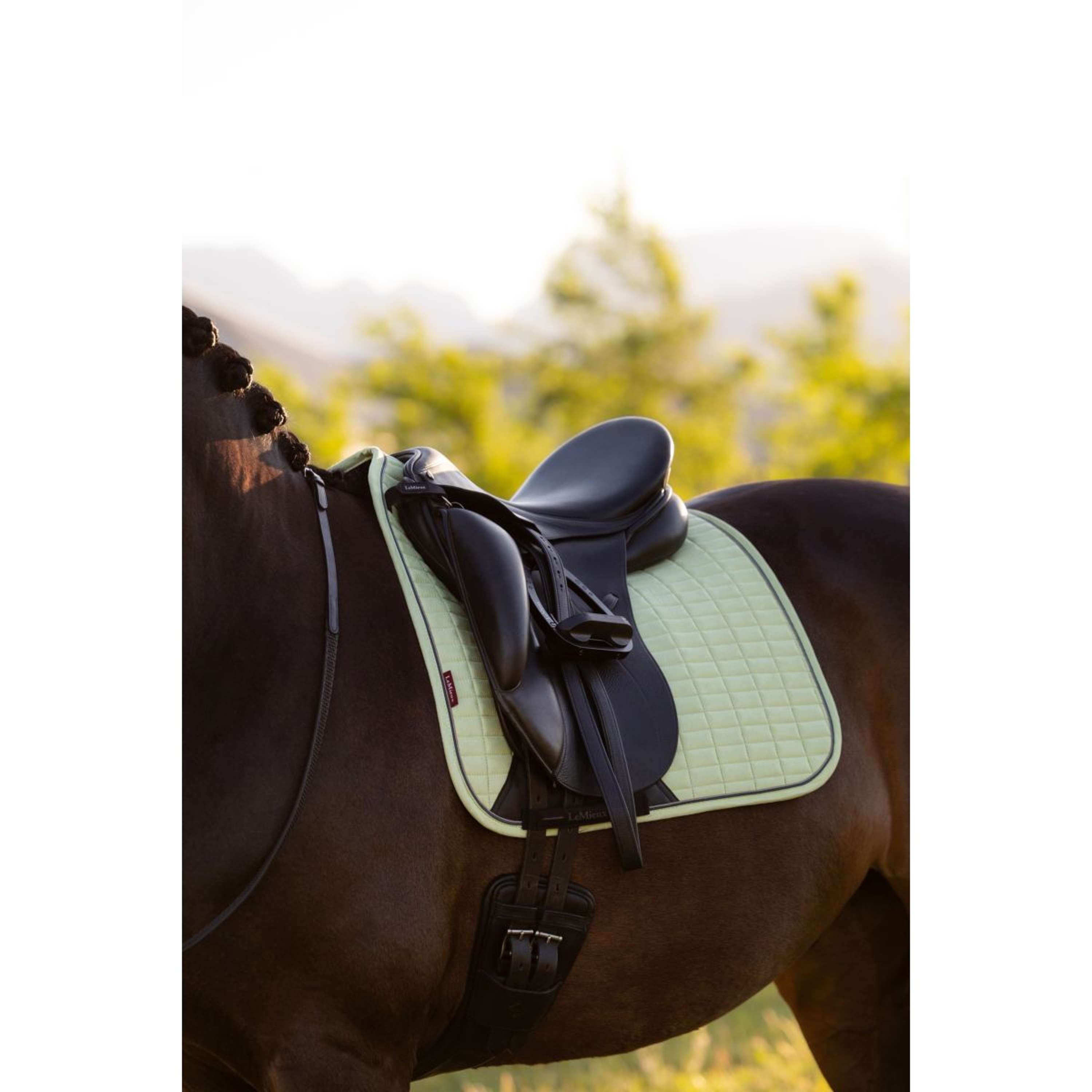 LeMieux Saddlepad Suede Square Dressage Macaron