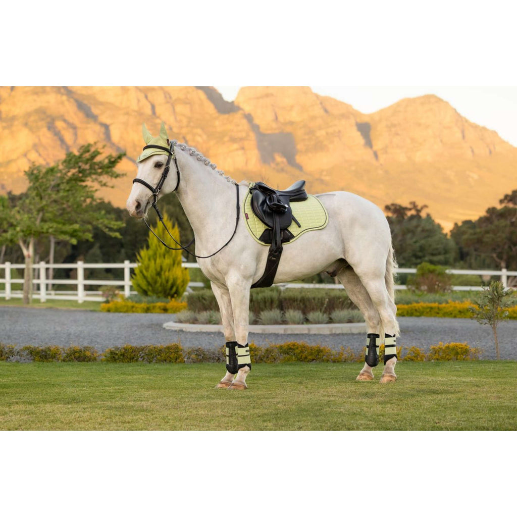 LeMieux Saddlepad Suede Square General Purpose Macaron