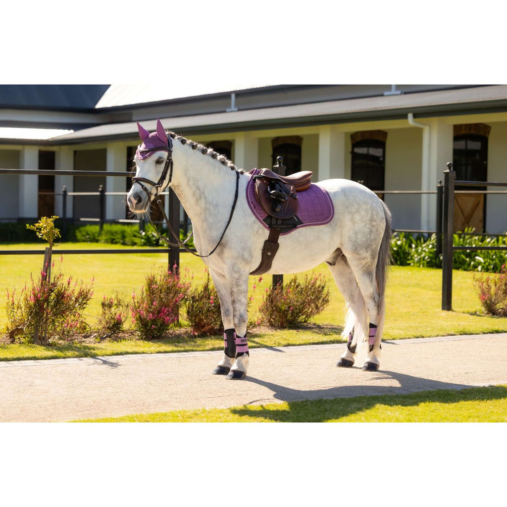 LeMieux Saddlepad Mini Suede Close Contact Square Jumping Mallow
