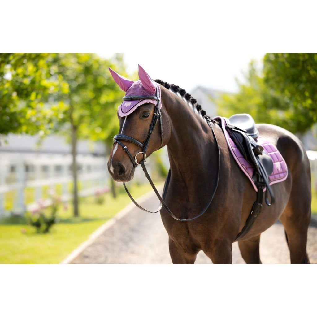 LeMieux Ear Bonnet Loire Mallow