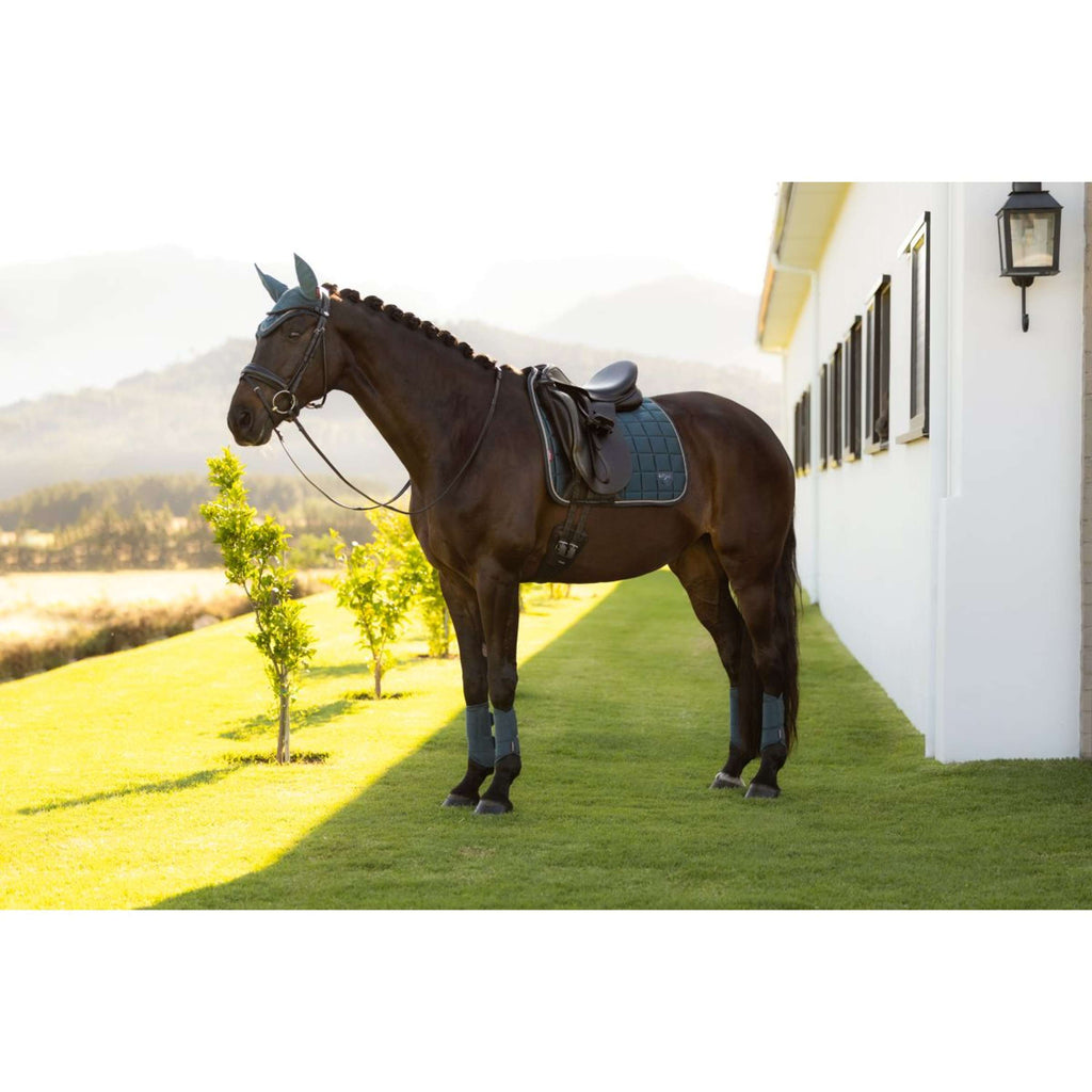 LeMieux Saddlepad Loire Classic Square Dressage Jungle