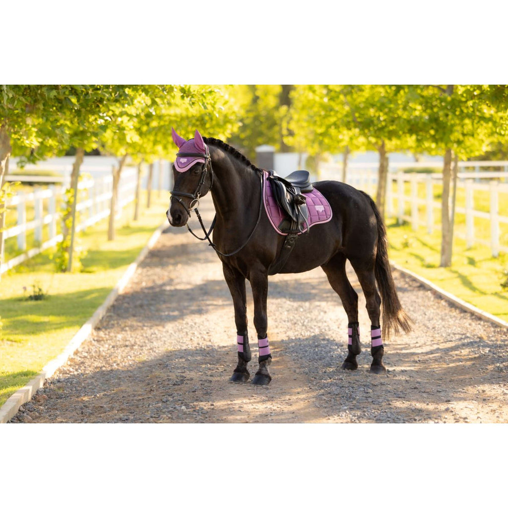 LeMieux Saddlepad Loire Classic Square General Purpose Mallow