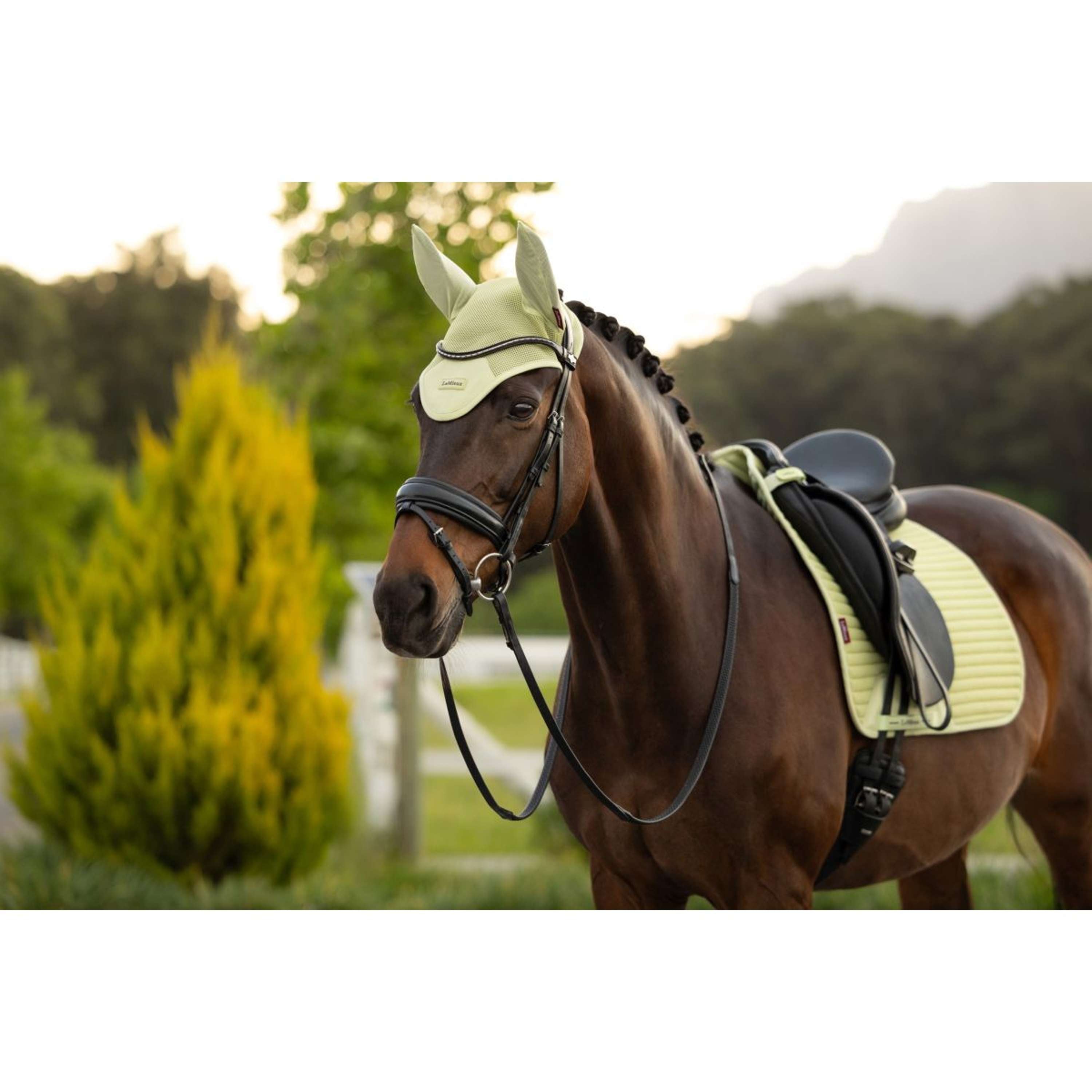 LeMieux Ear Bonnet Air-Tek Mesh Macaron