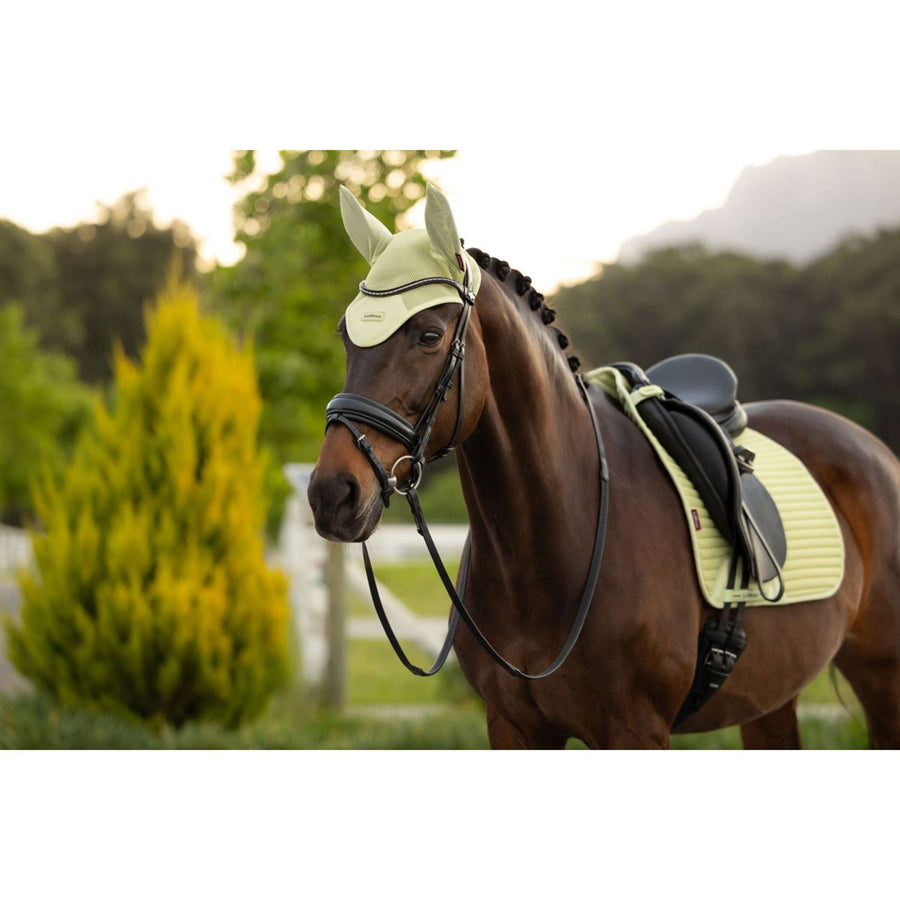 LeMieux Ear Bonnet Air-Tek Mesh Macaron