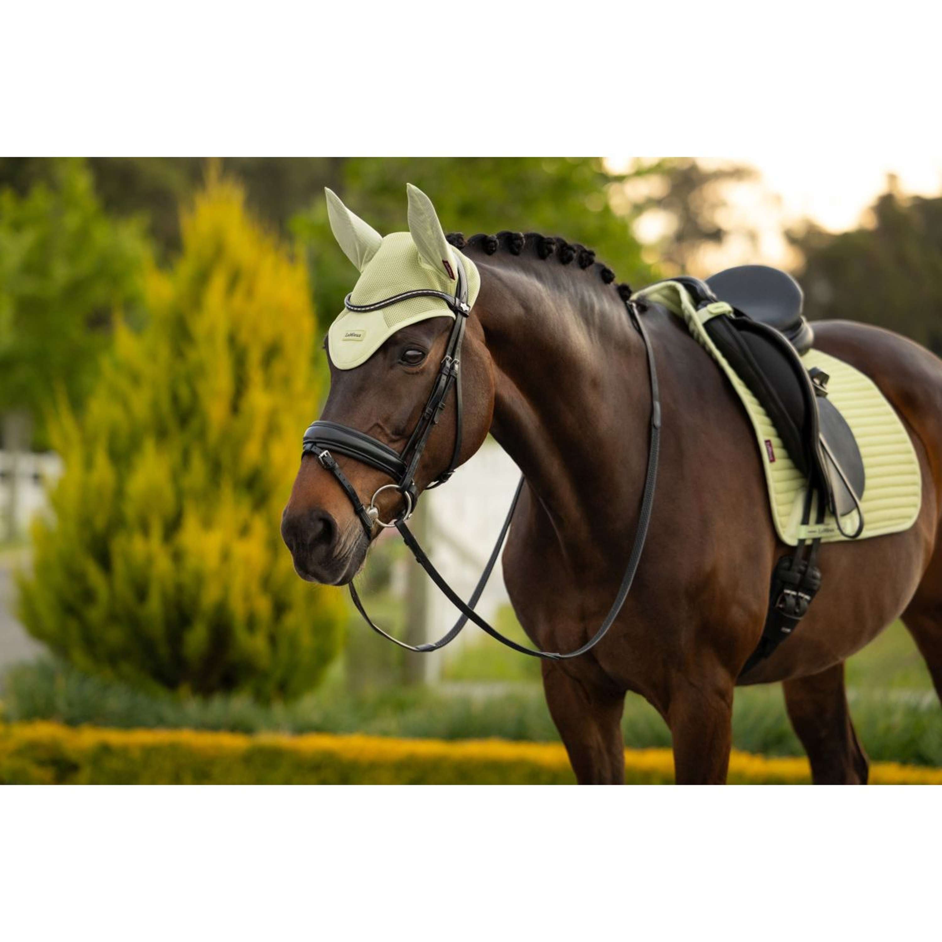 LeMieux Ear Bonnet Air-Tek Mesh Macaron
