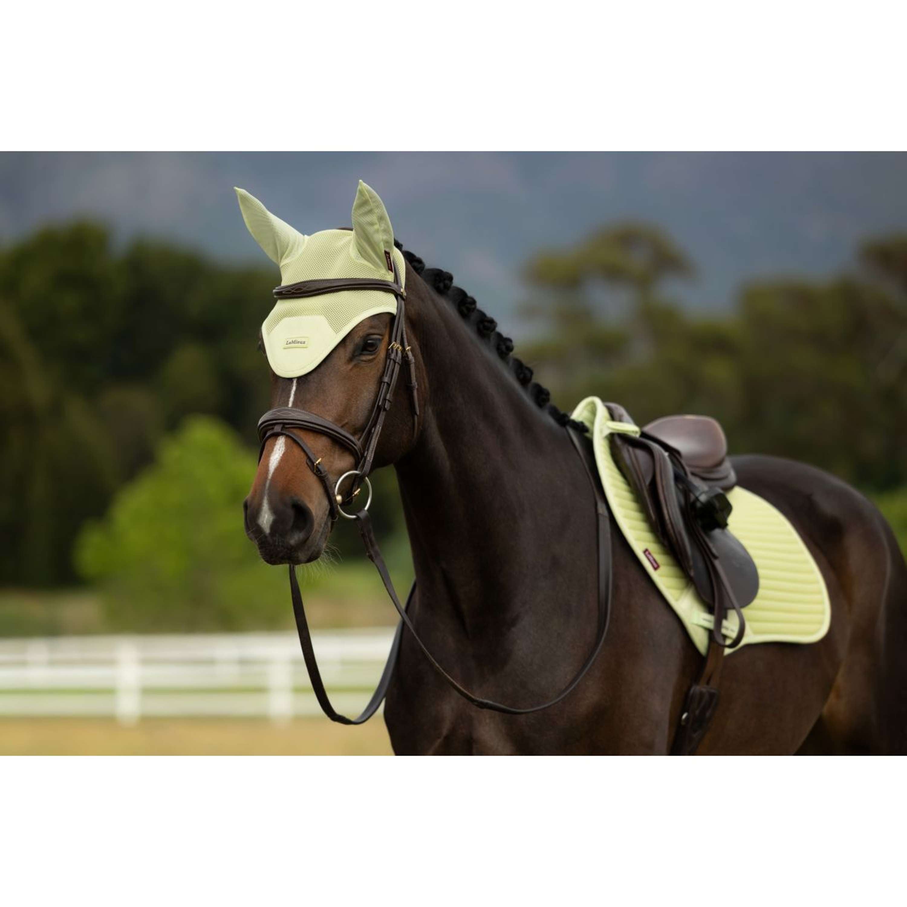 LeMieux Ear Bonnet Air-Tek Mesh Macaron