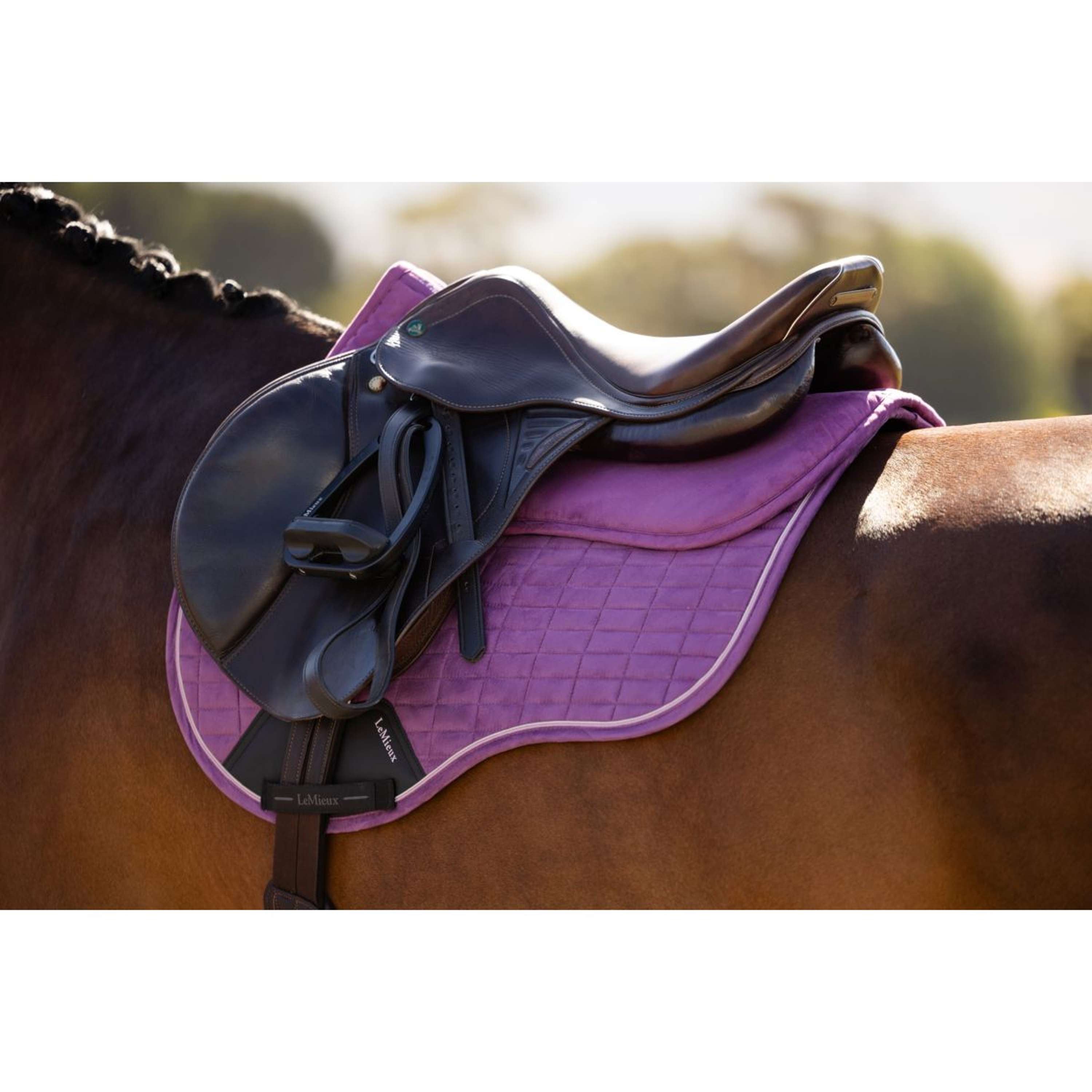 LeMieux Half Pad Suede Mallow