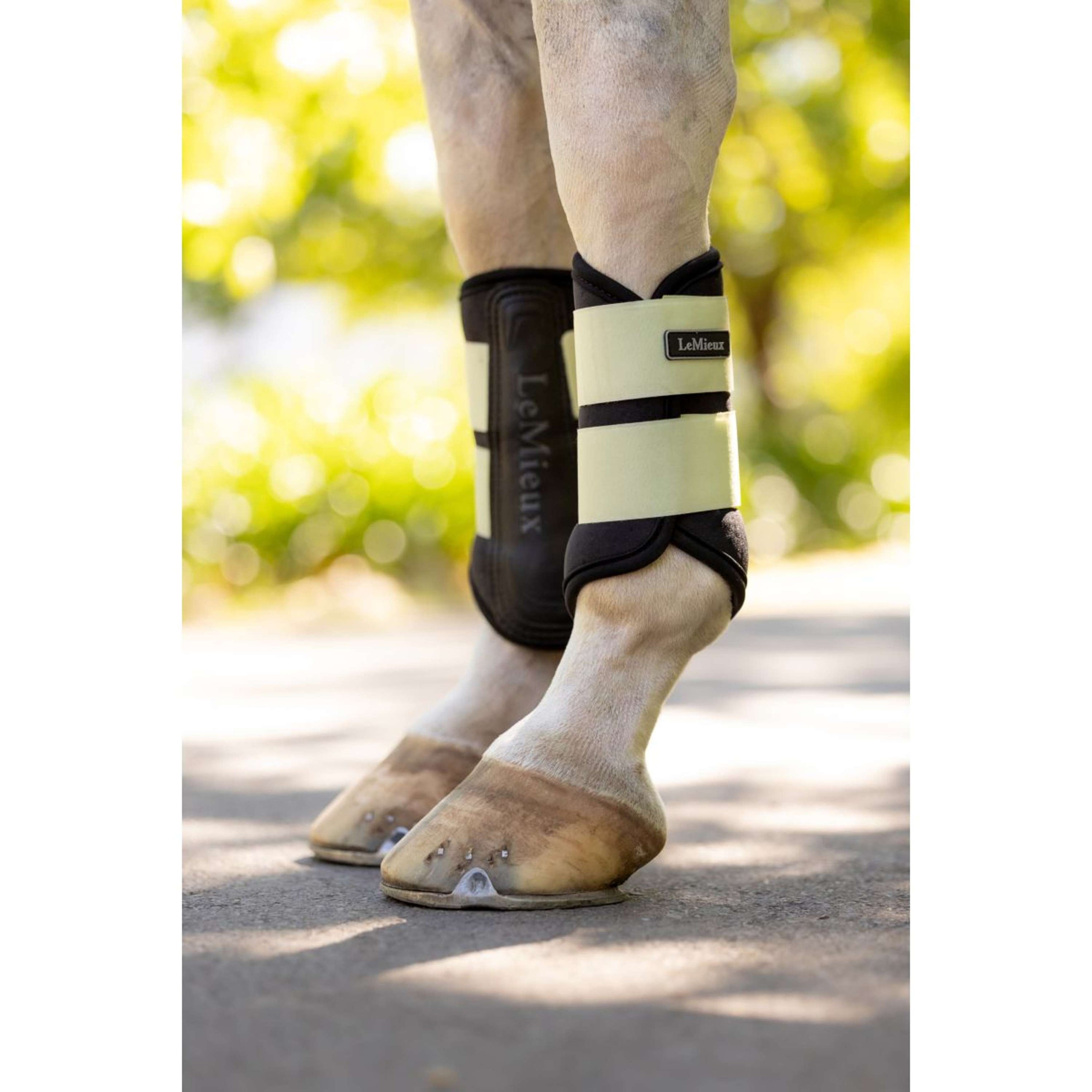 LeMieux Leg Protectors Air-Tek Grafter Macaron