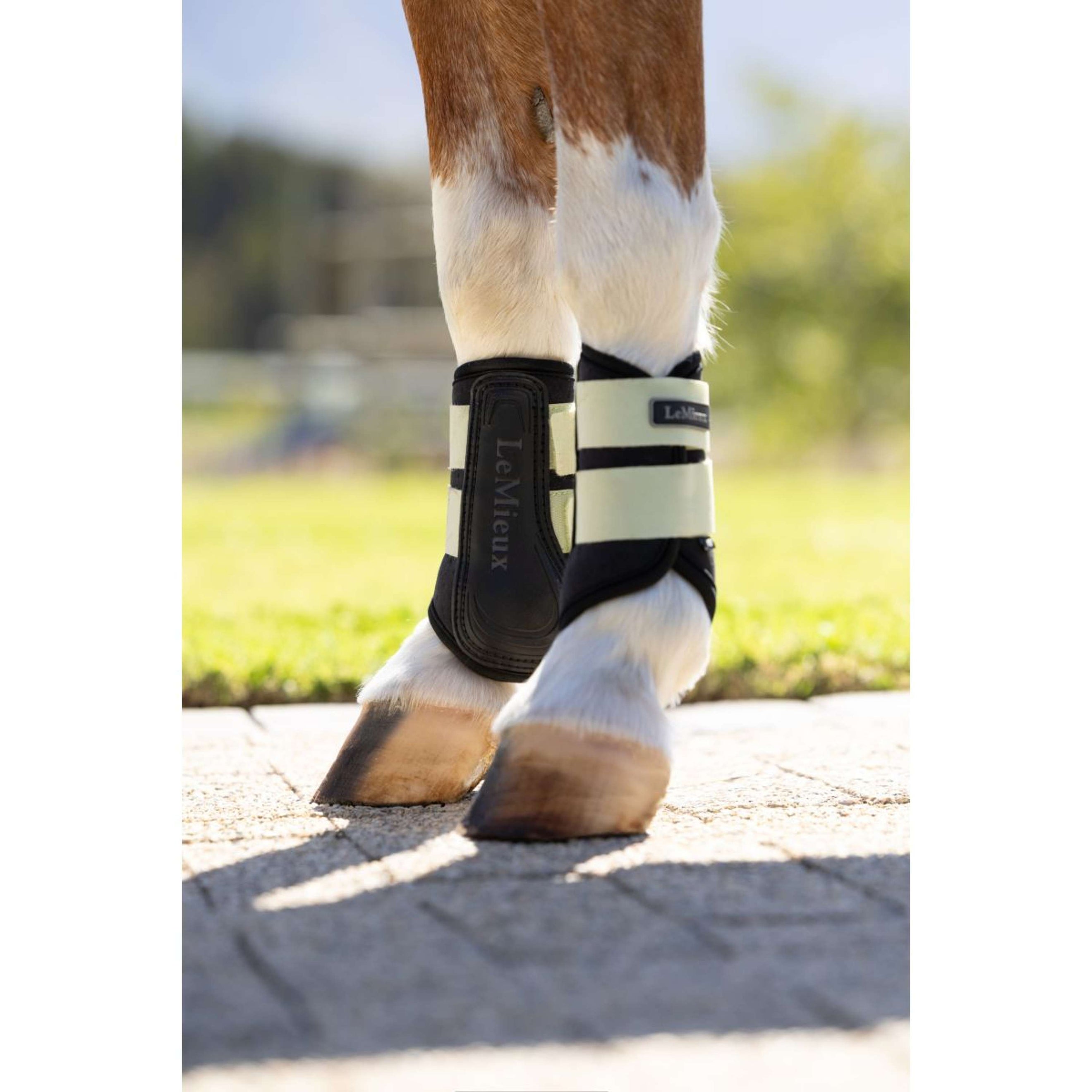 LeMieux Leg Protectors Mini Air-Tek Macaron