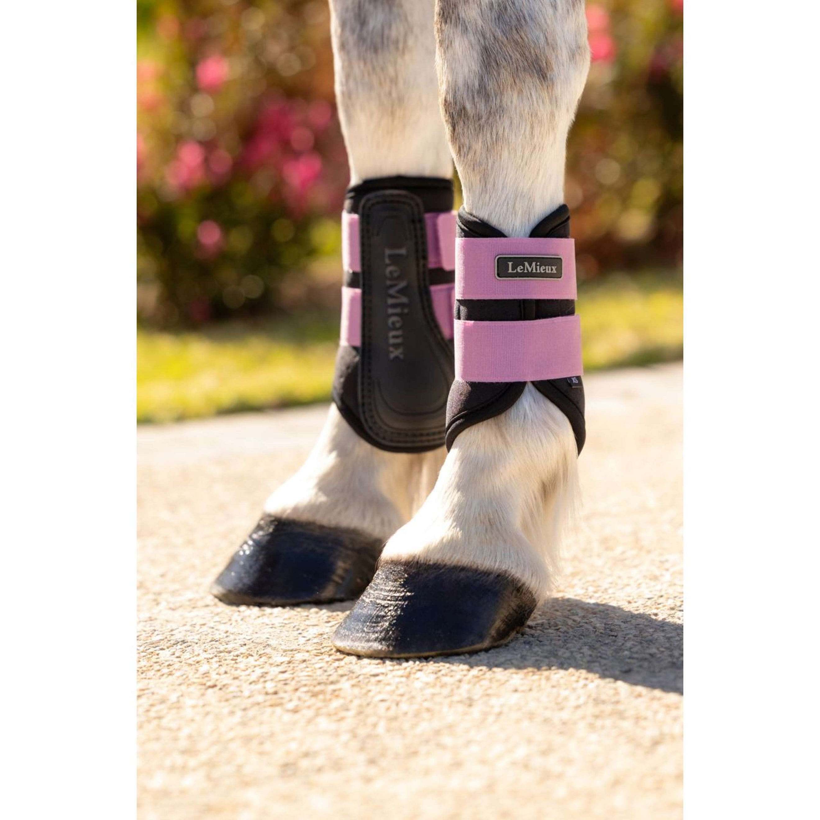 LeMieux Leg Protectors Mini Air-Tek Mallow LeMieux Leg Protectors Mini Air-Tek Mallow