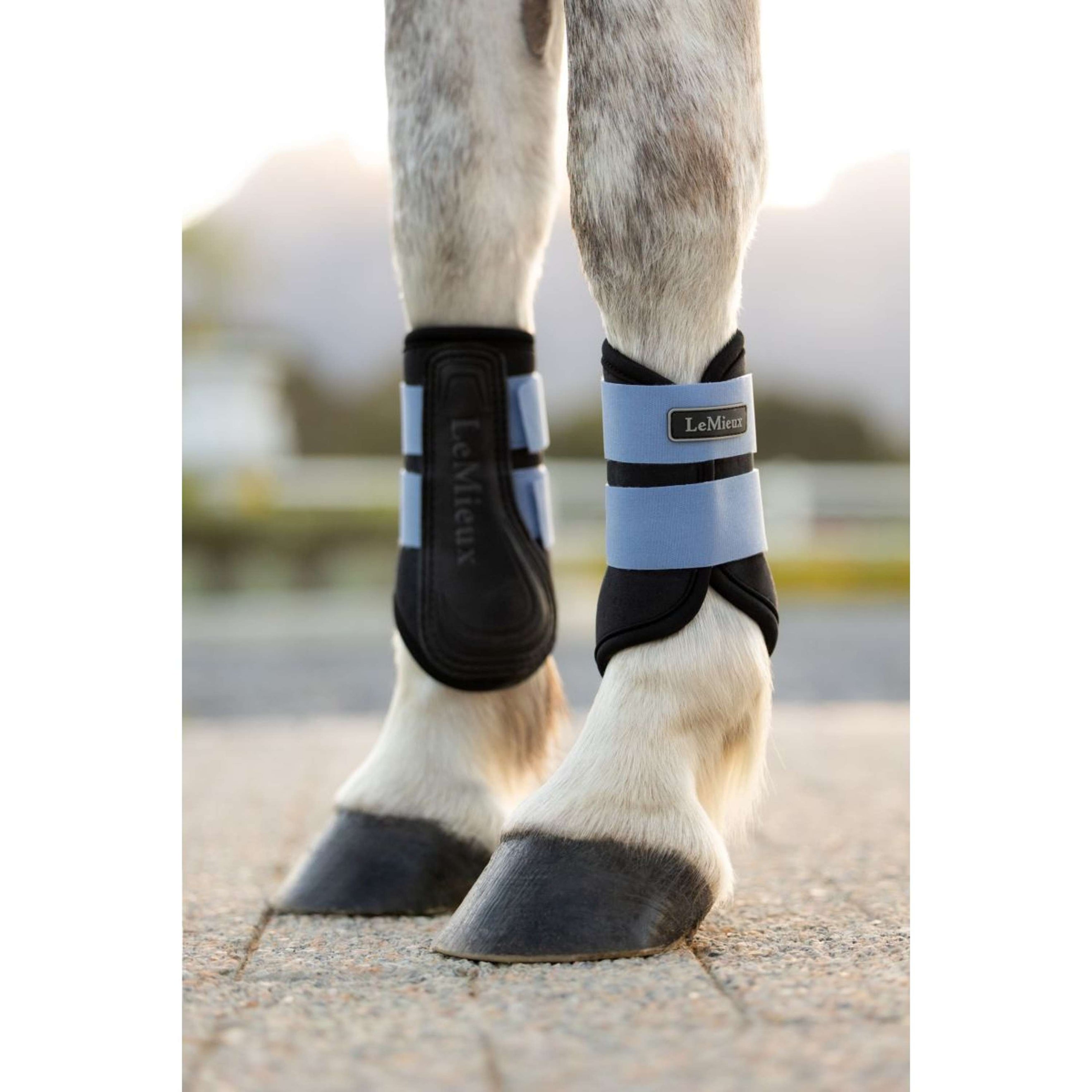 LeMieux Leg Protectors Mini Air-Tek Powder Blue