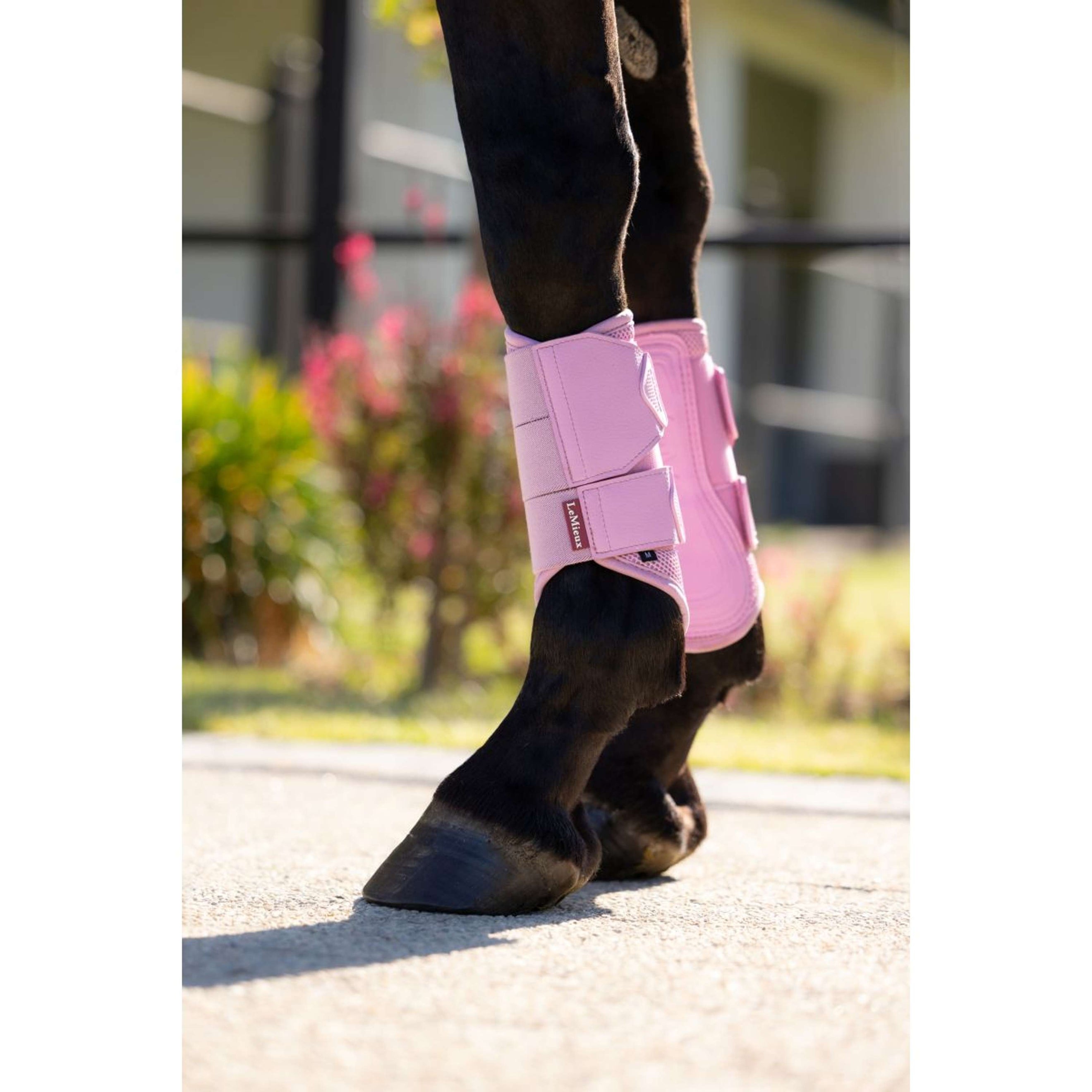 LeMieux Leg Protectors Arika Mesh Fondant LeMieux Leg Protectors Arika Mesh Fondant