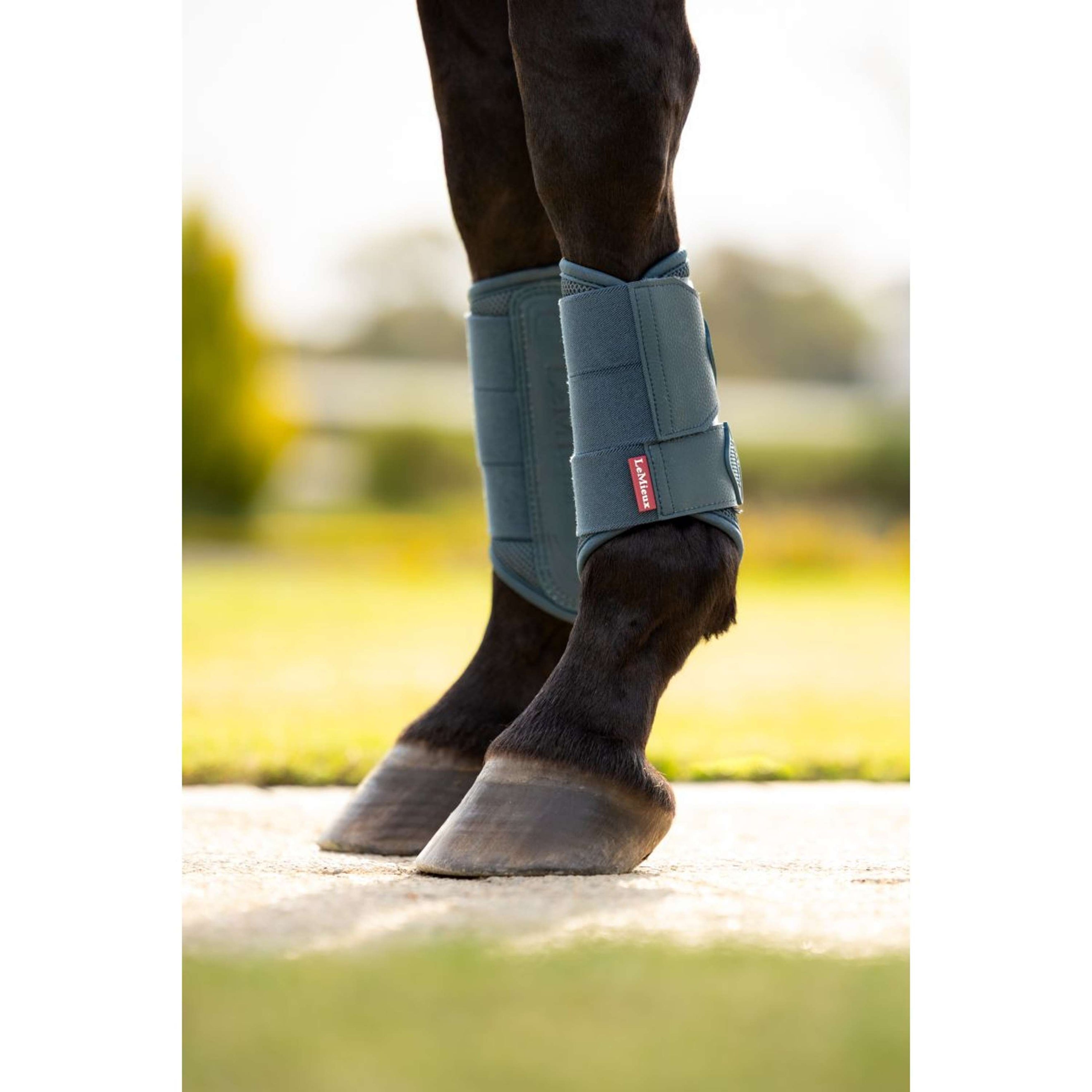 LeMieux Leg Protectors Arika Mesh Jungle LeMieux Leg Protectors Arika Mesh Jungle