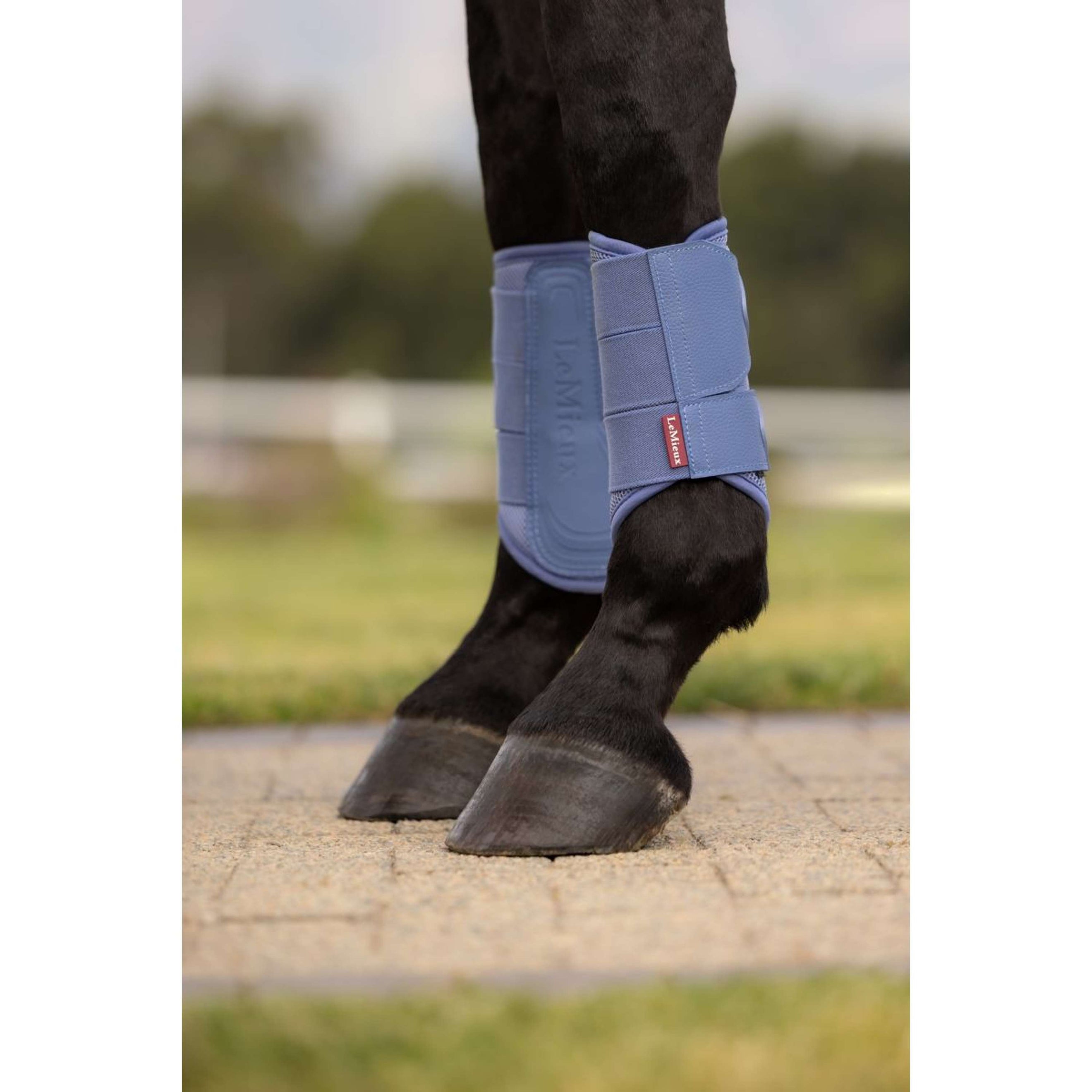 LeMieux Leg Protectors Arika Mesh Powder Blue