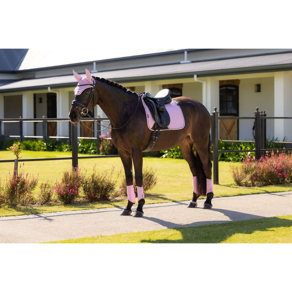 LeMieux Saddlepad Essence Square Dressage Fondant