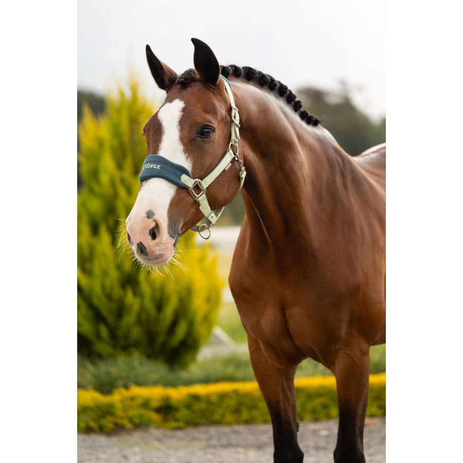 LeMieux Head Collar Set Vogue Macaron