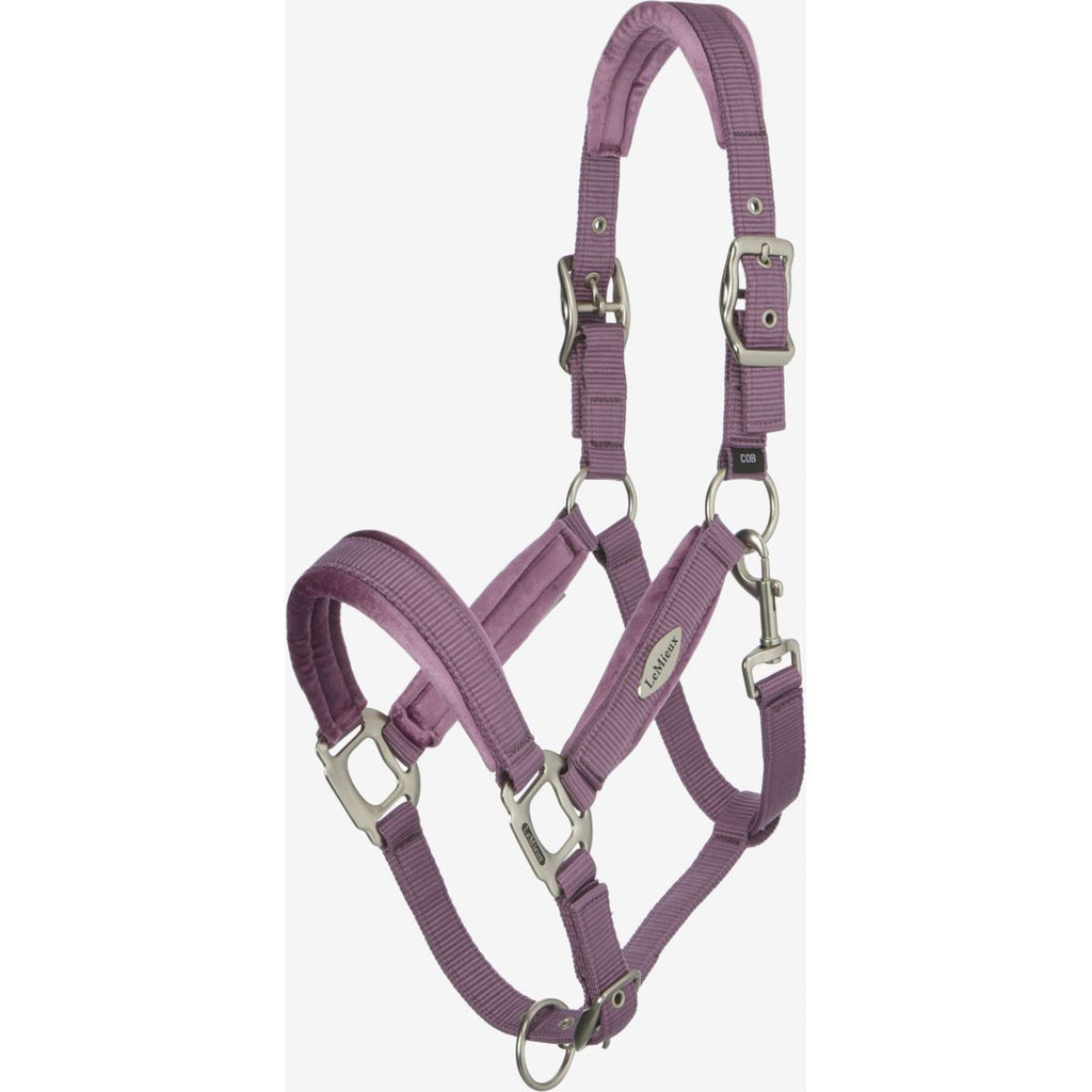LeMieux Halter Versailles Mallow