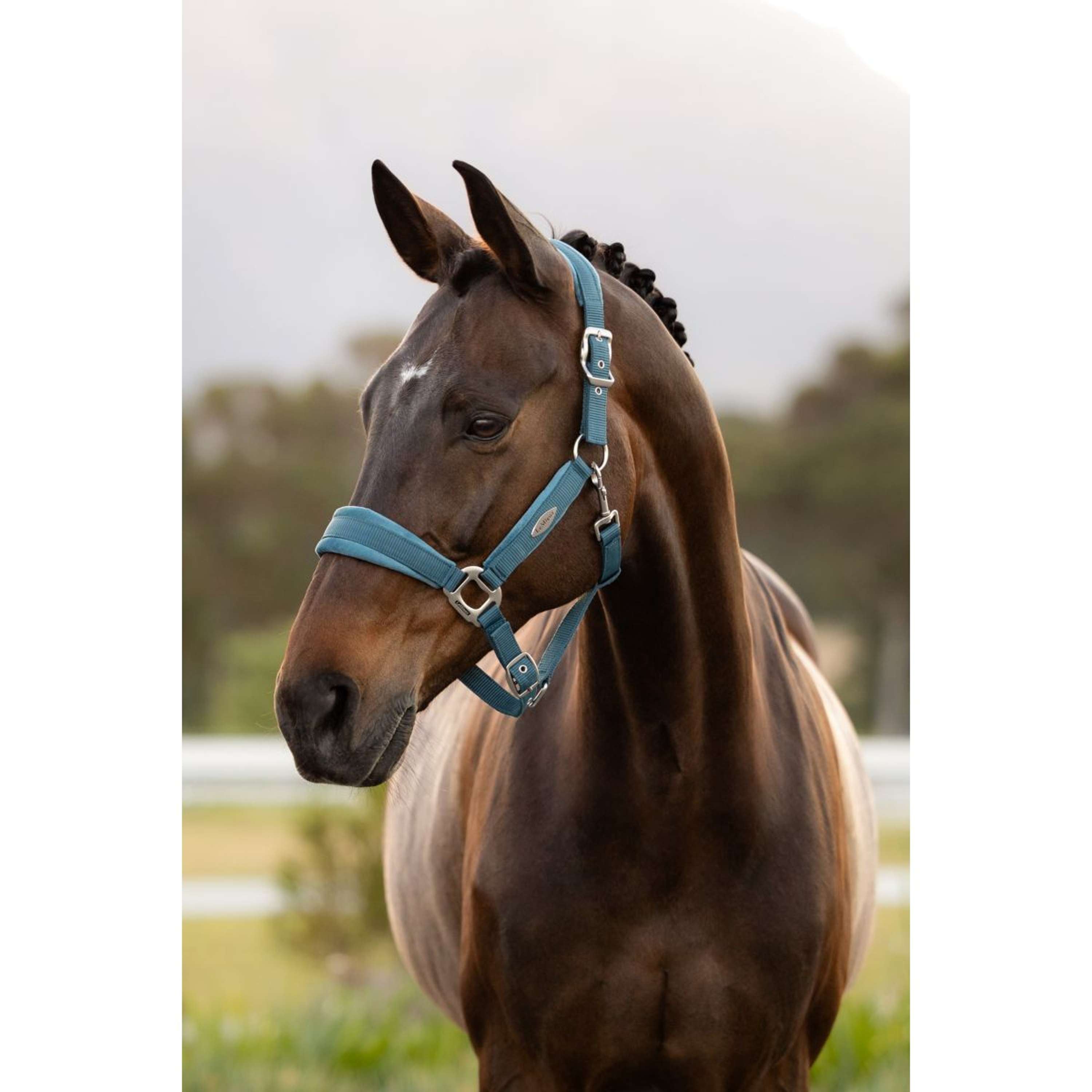 LeMieux Halter Versailles Jungle