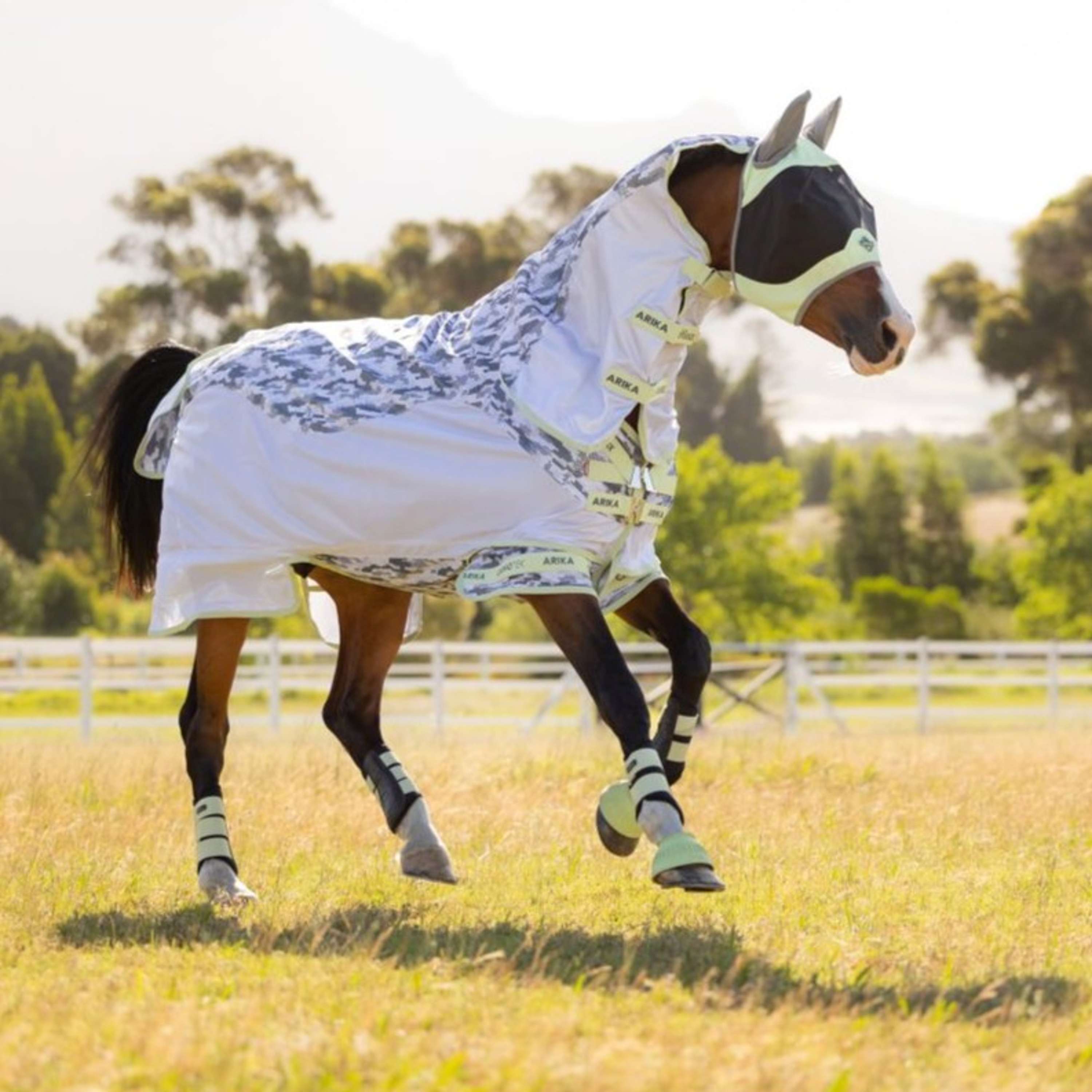 LeMieux Fly Rug Arika Camo-Tek with a Hood Macaron