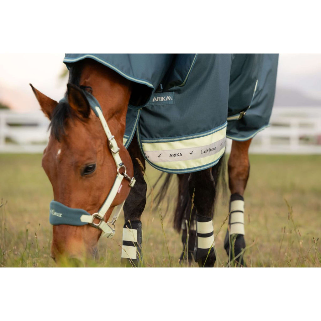 LeMieux Outdoor Rug Arika Ripstop 0g Jungle