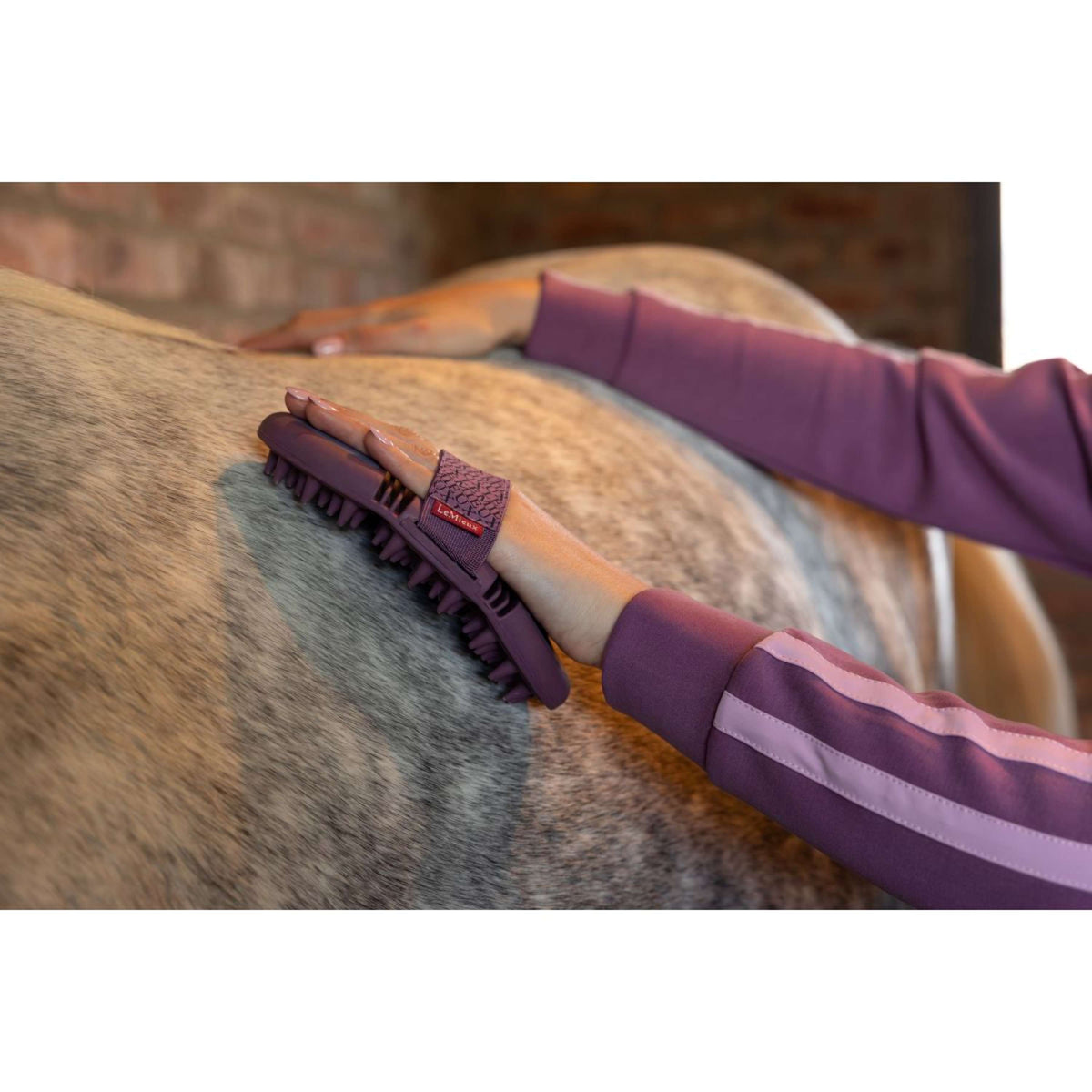 LeMieux Massage Brush Flexi Powder Blue