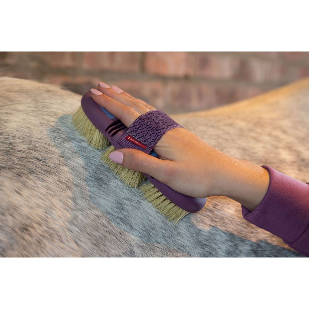 LeMieux Hard Brush Flexi Scrubbing Powder Blue