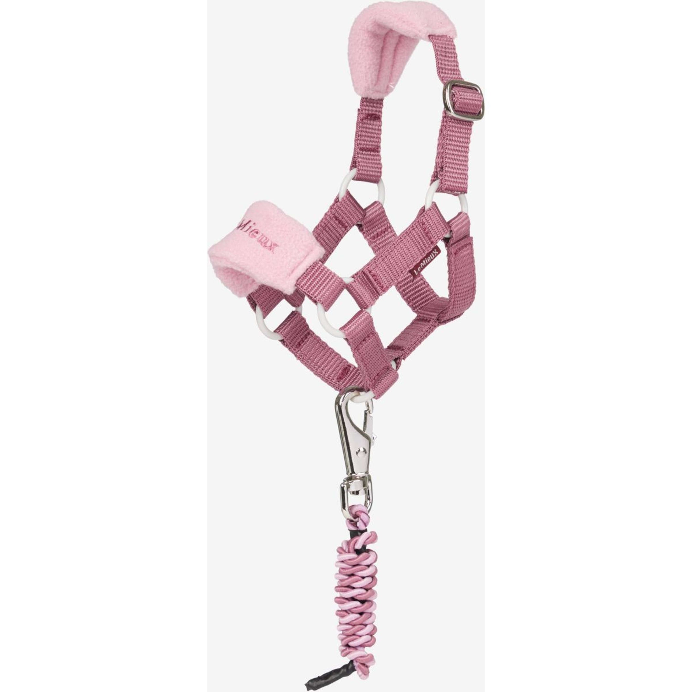 LeMieux Toy Pony Vogue Head Collar Set Mallow