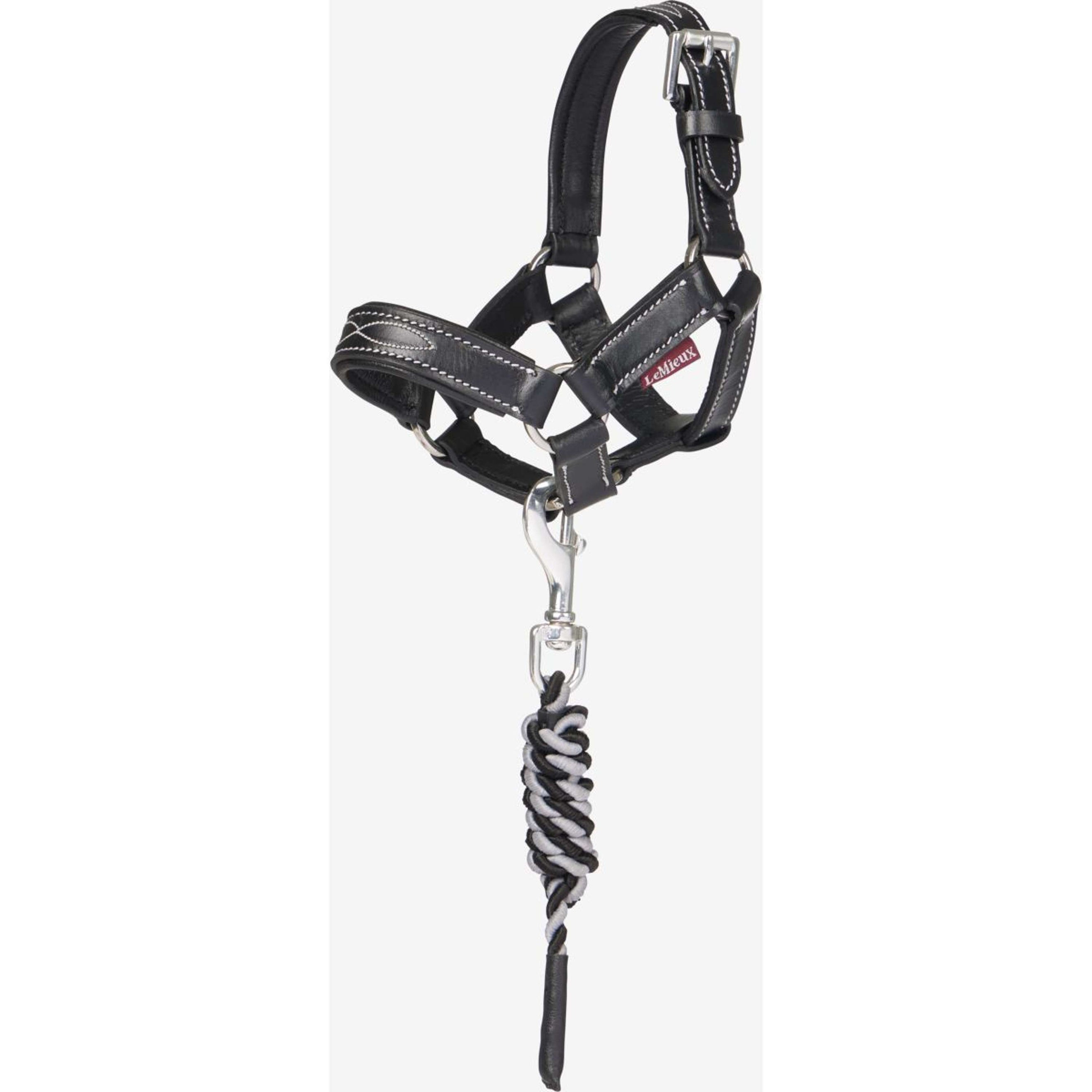 LeMieux Toy Pony Headcollar Black