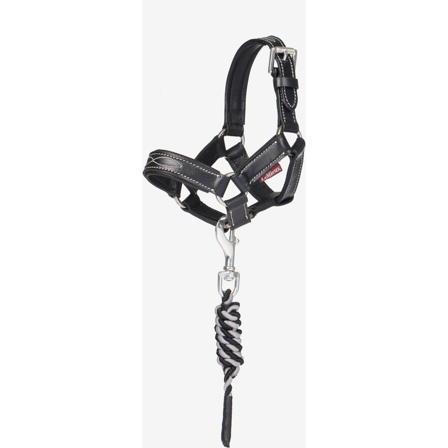 LeMieux Toy Pony Headcollar Black