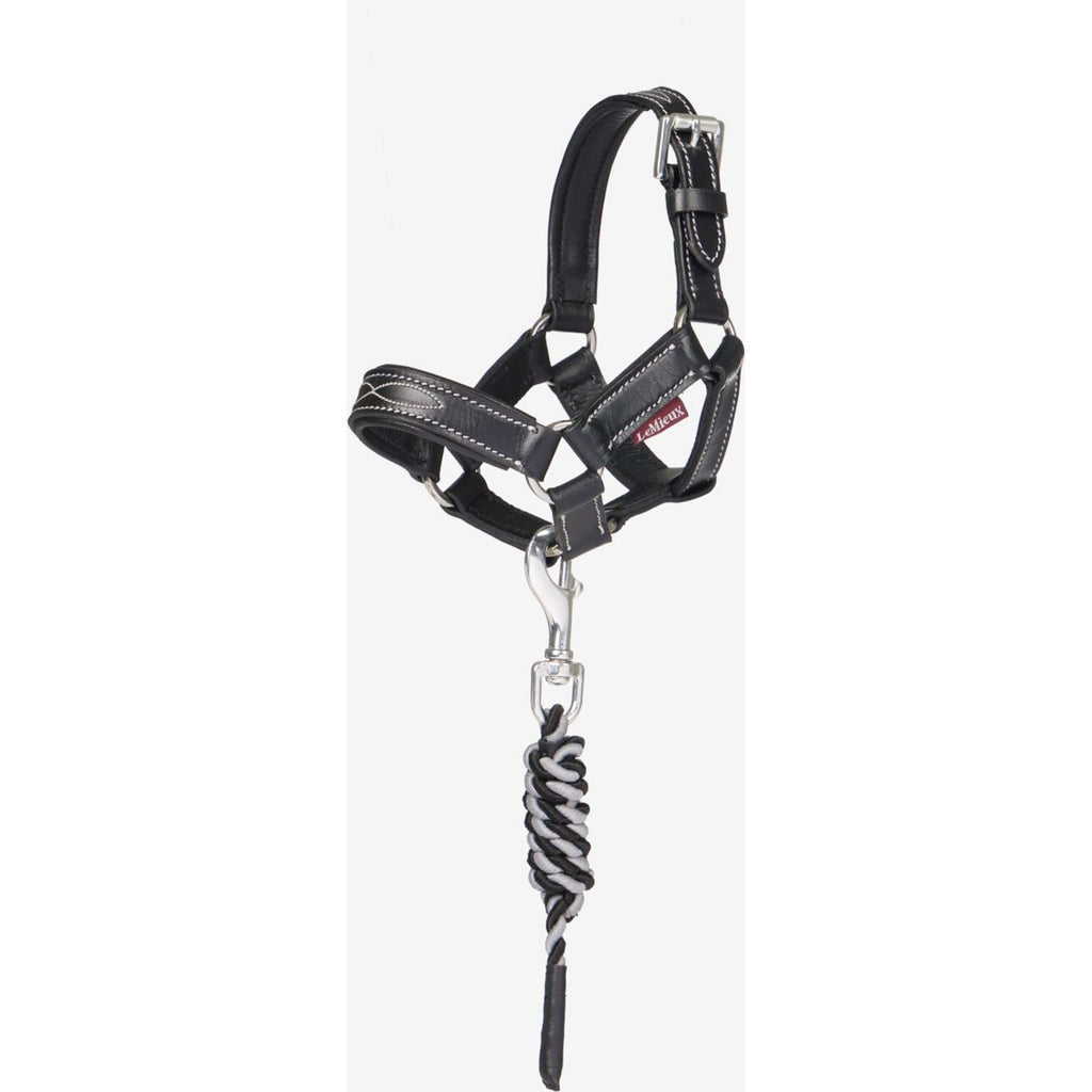 LeMieux Toy Pony Headcollar Black