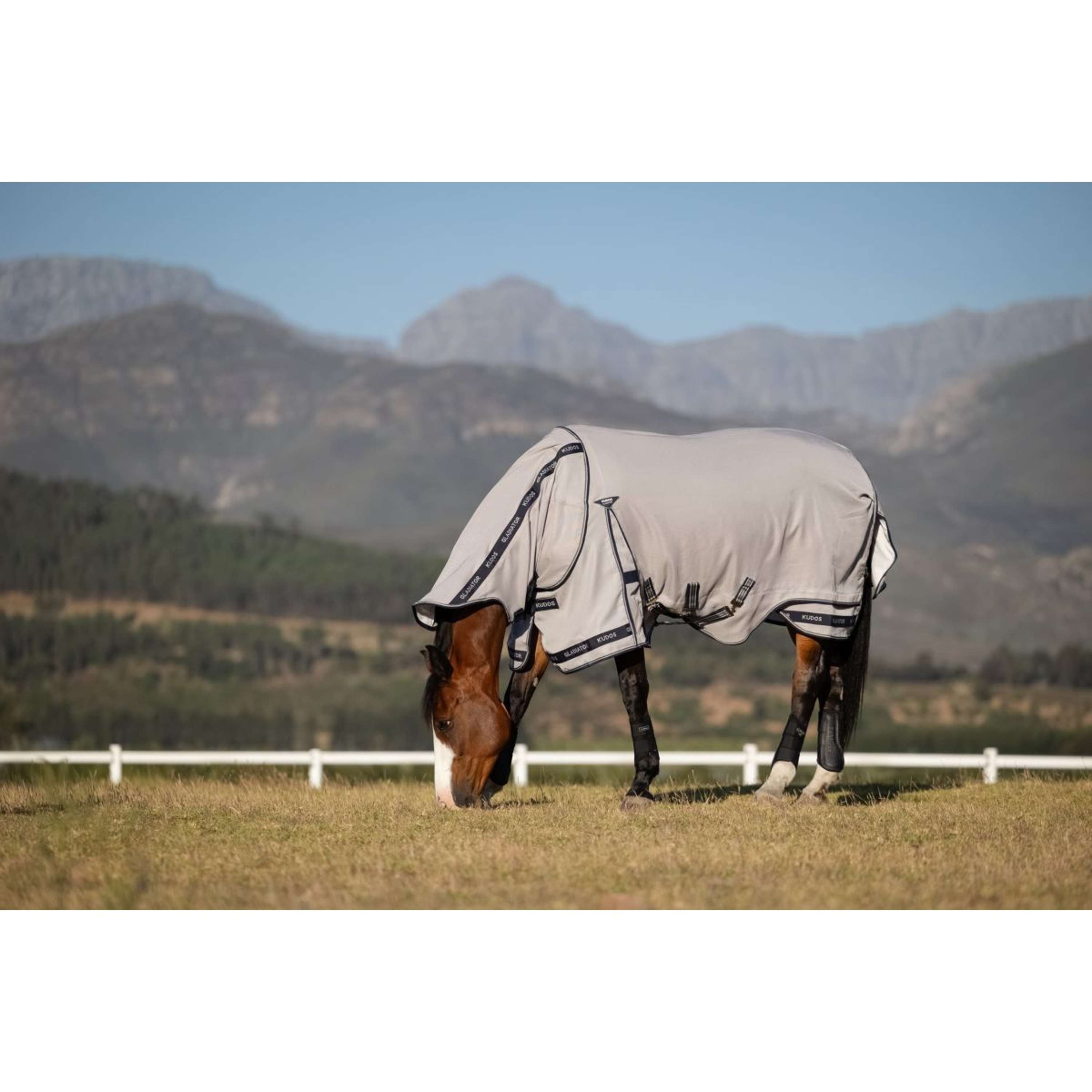 LeMieux Fly Rug Kudos Gladiator Grey